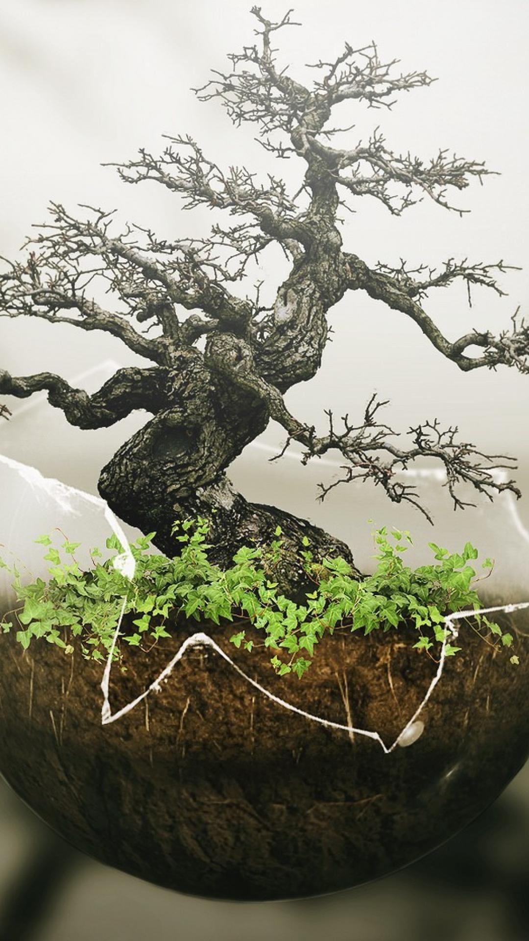 1080x1920 Bonsai chinese characters plants trees wallpaper
