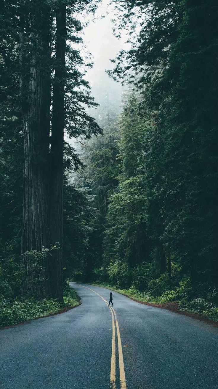 736x1308 nature. Nature picture, Nature photography