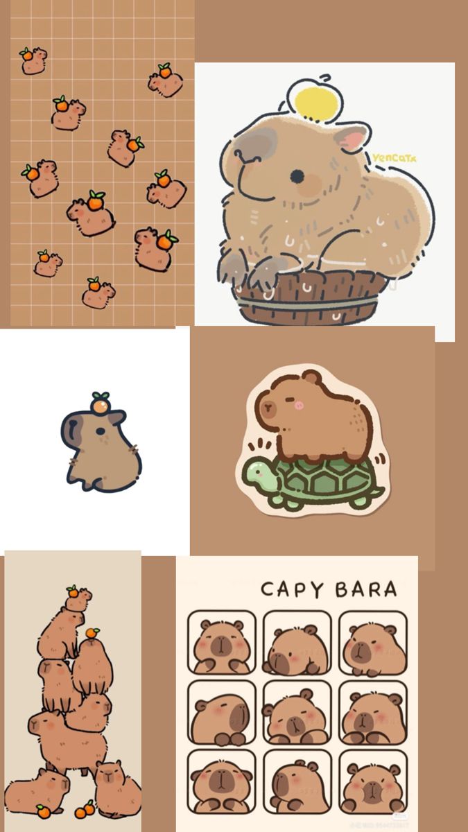 675x1200 Capybara
