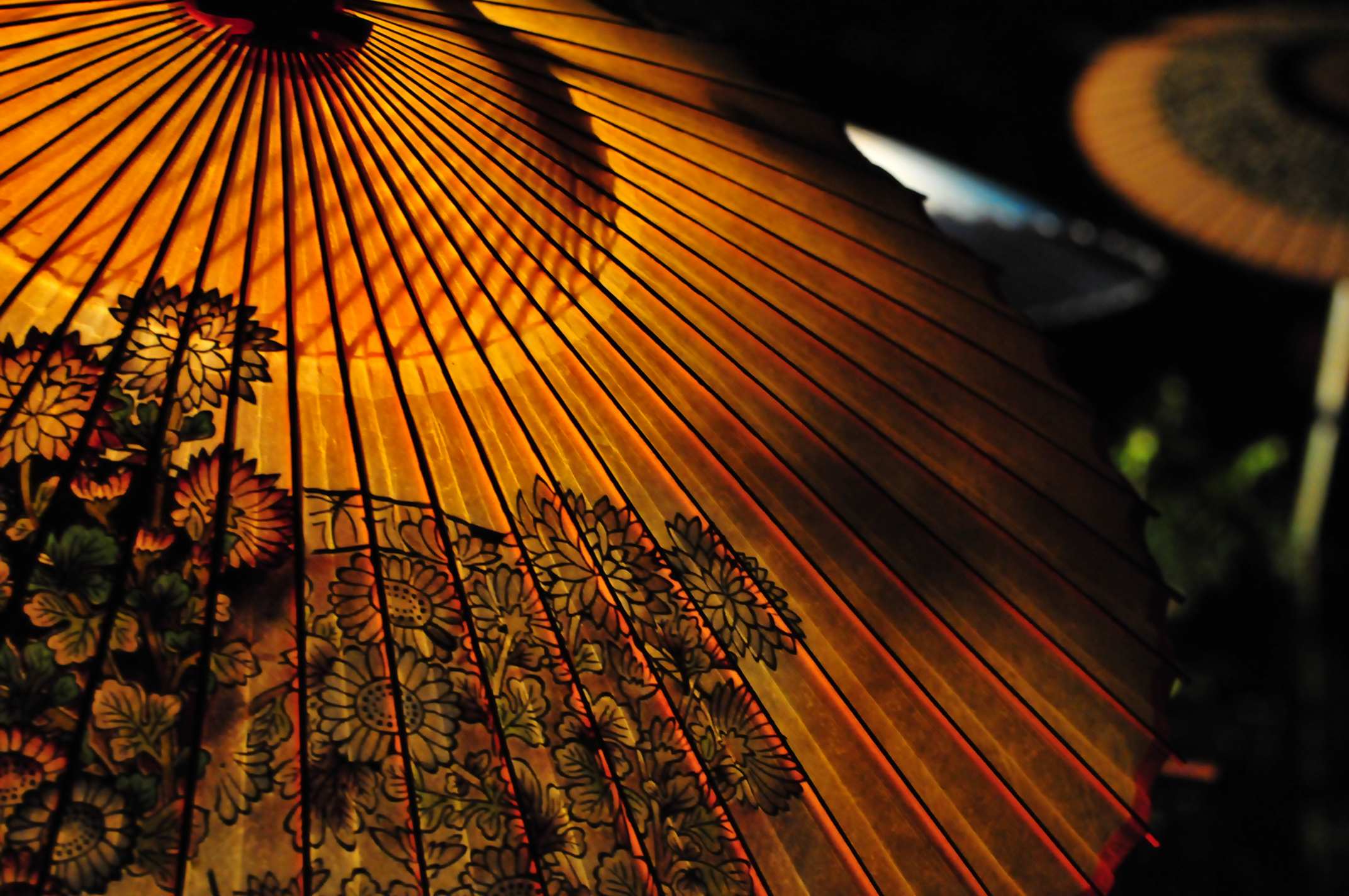 Japanese Umbrella Wallpapers - Top Free Japanese Umbrella Backgrounds