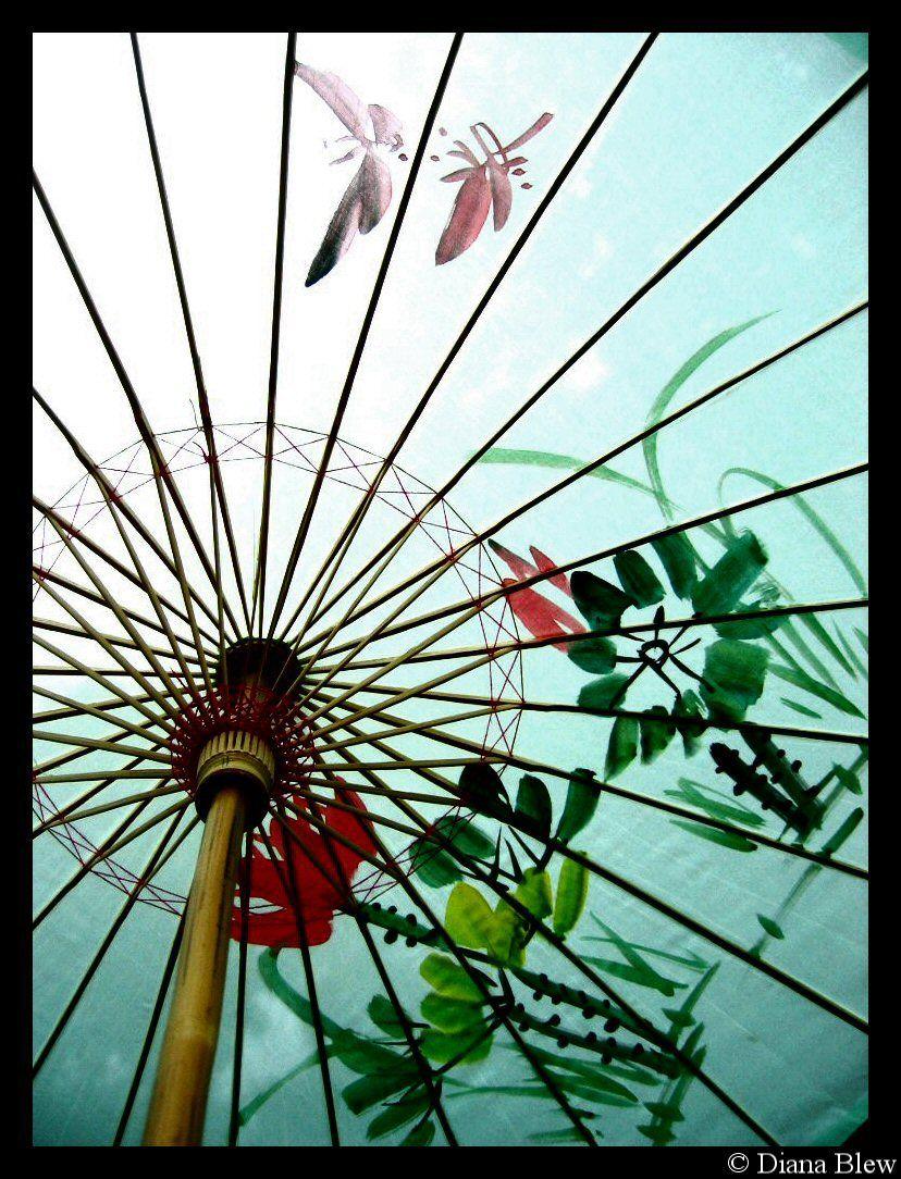 Japanese Umbrella Wallpapers Top Free Japanese Umbrella Backgrounds
