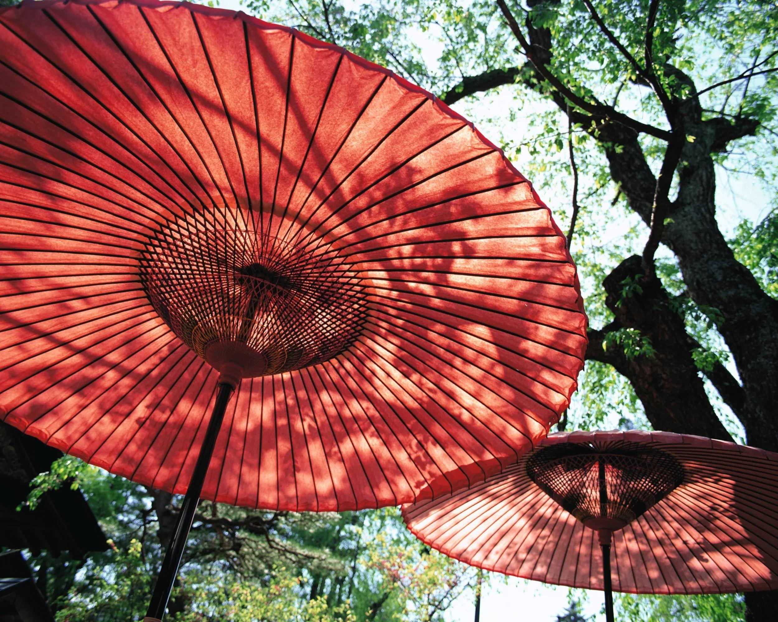 Japanese Umbrella Wallpapers - Top Free Japanese Umbrella Backgrounds