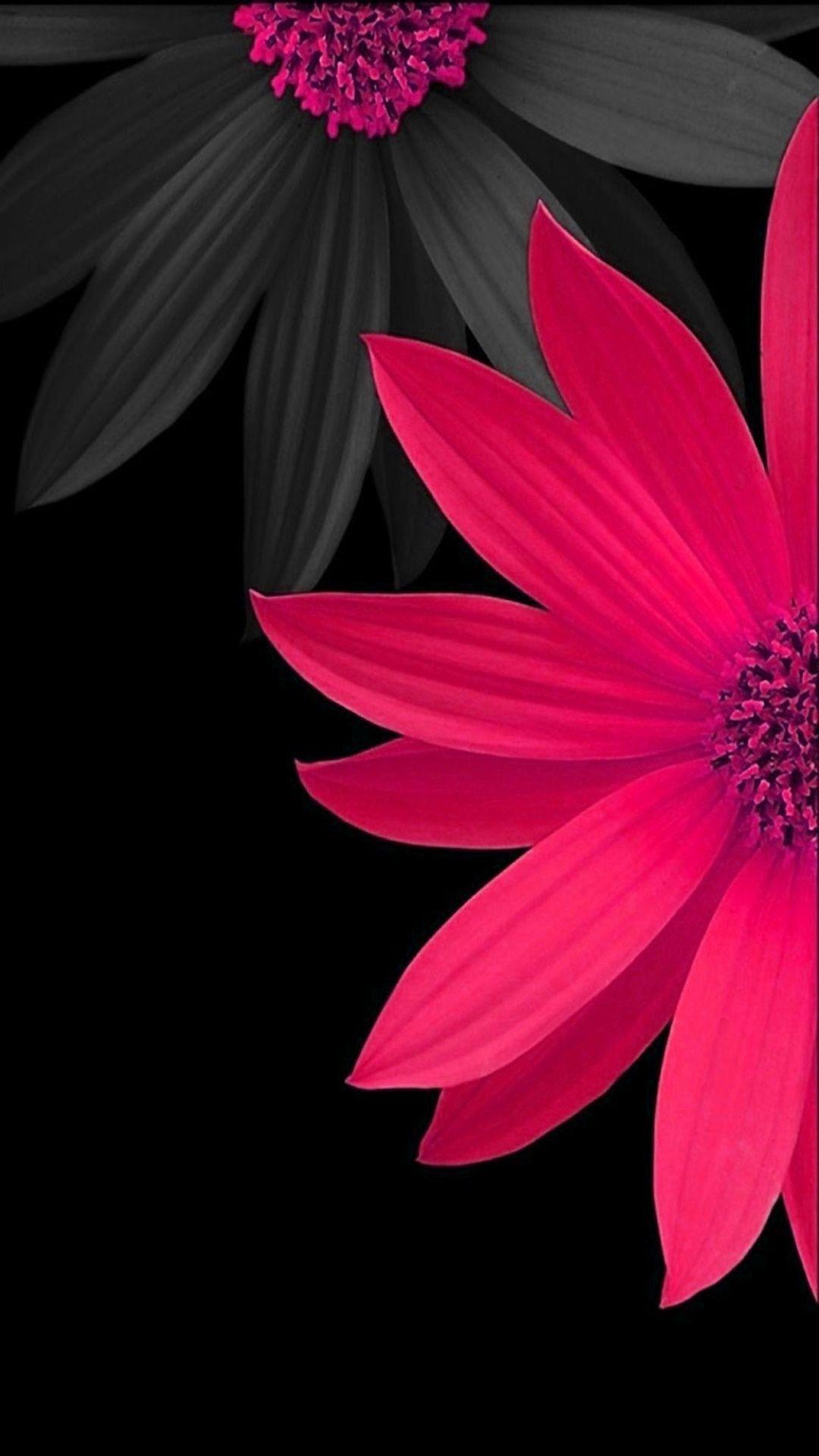 1080x1920 Black Flower Wallpaper