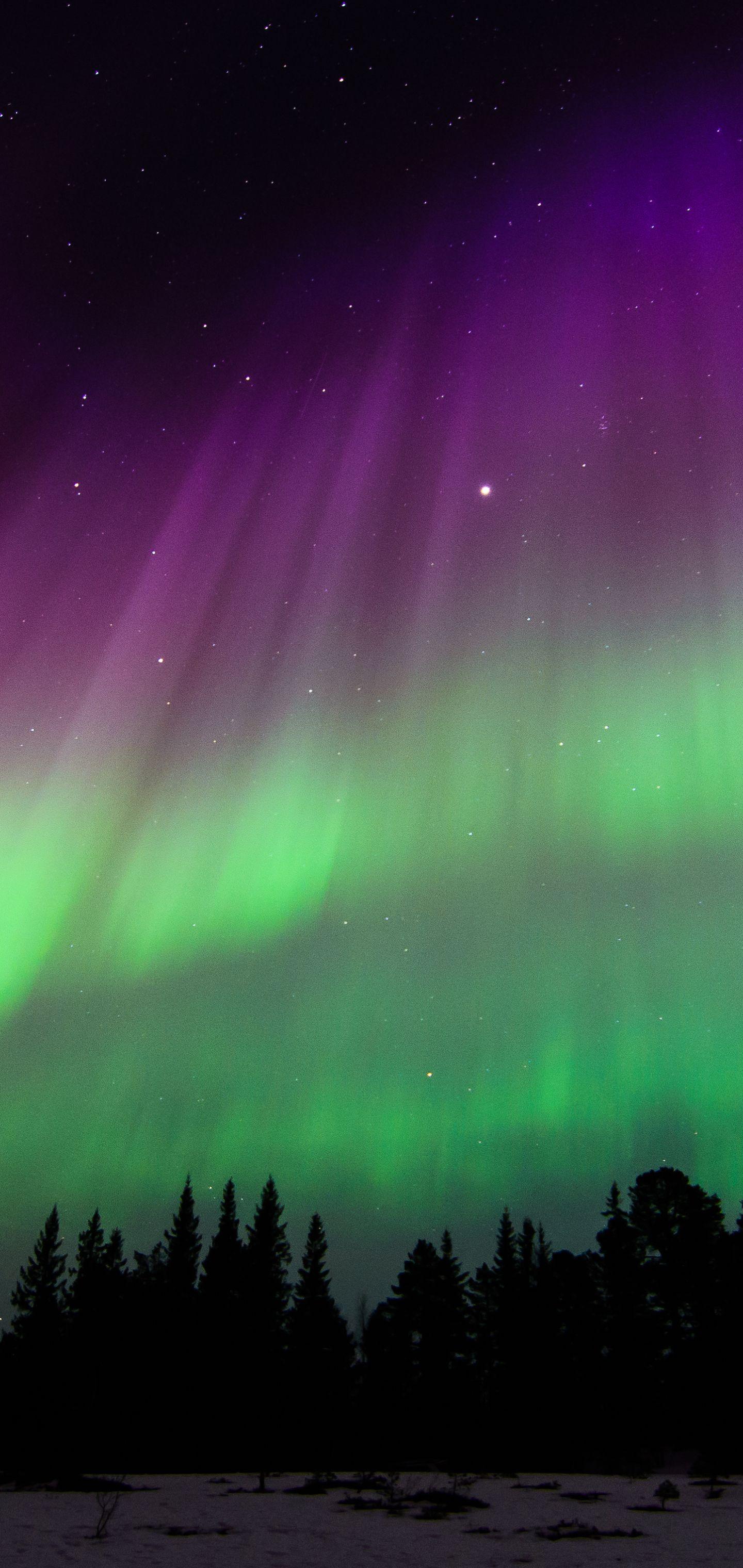 1440x3040 Earth Aurora Borealis (1440x3040) Wallpaper