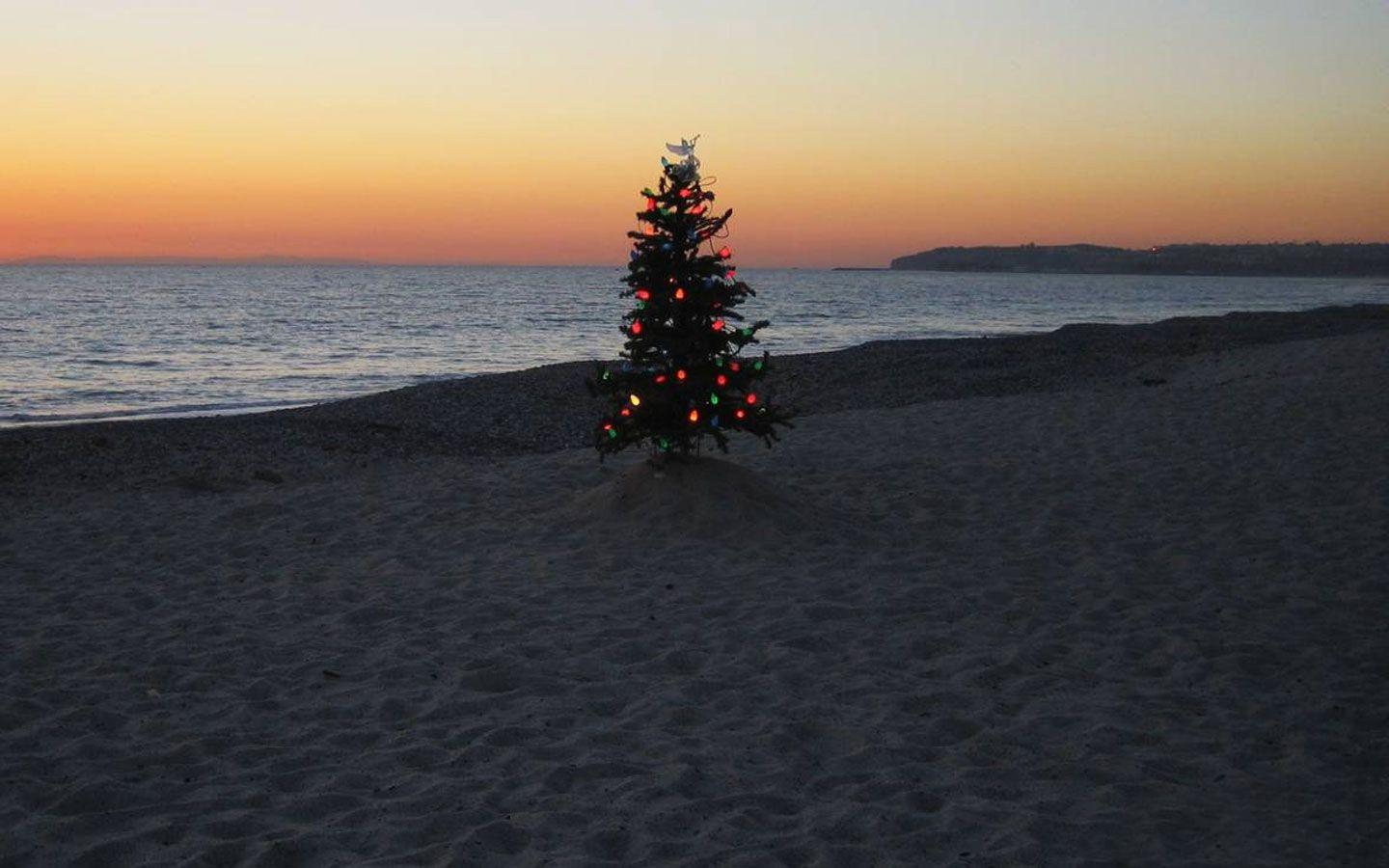 Cây thông Noel trên bãi biển 1440x900