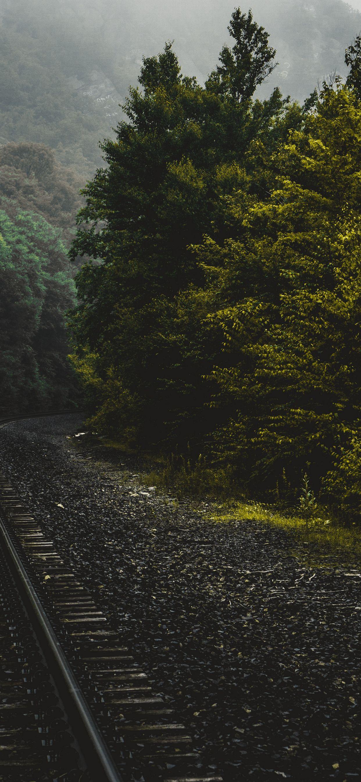 1242x2688 iPhone 11 Pro Wallpaper and Background HD