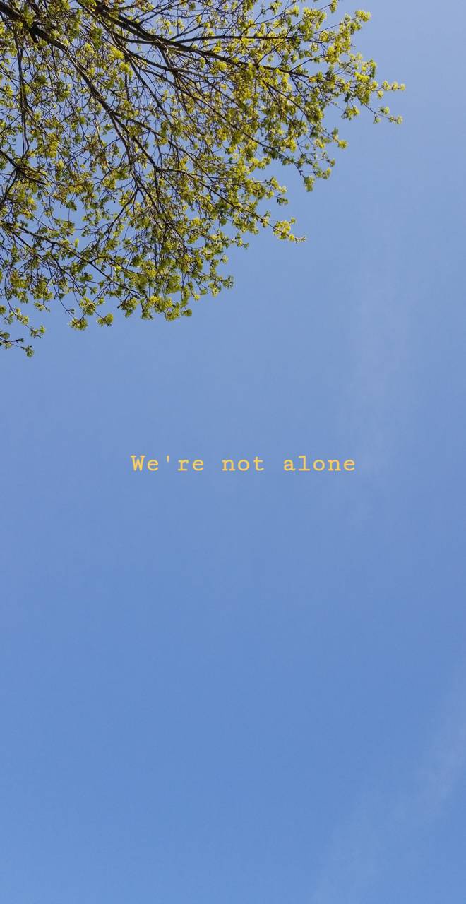 660x1280 aesthetic wallpaper