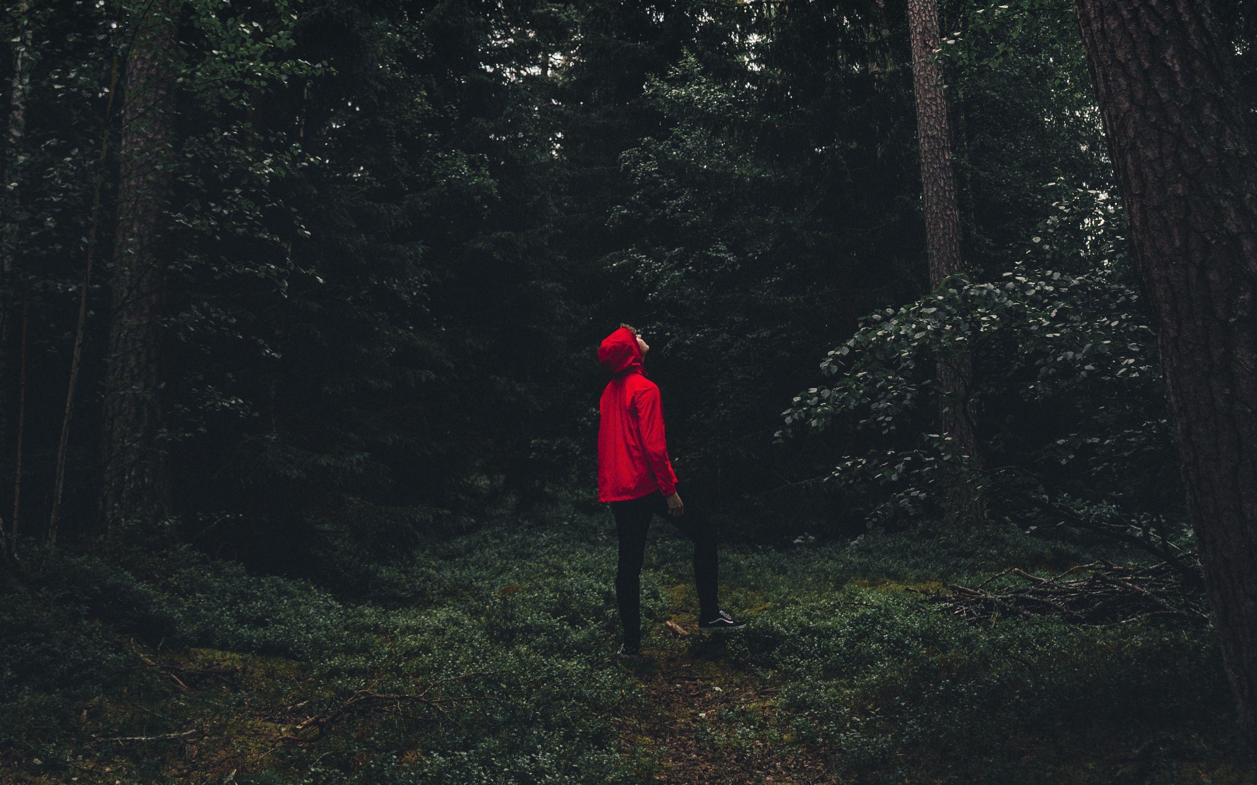2560x1600 Download wallpaper 2560x1600 man, forest, alone, solitude, trees