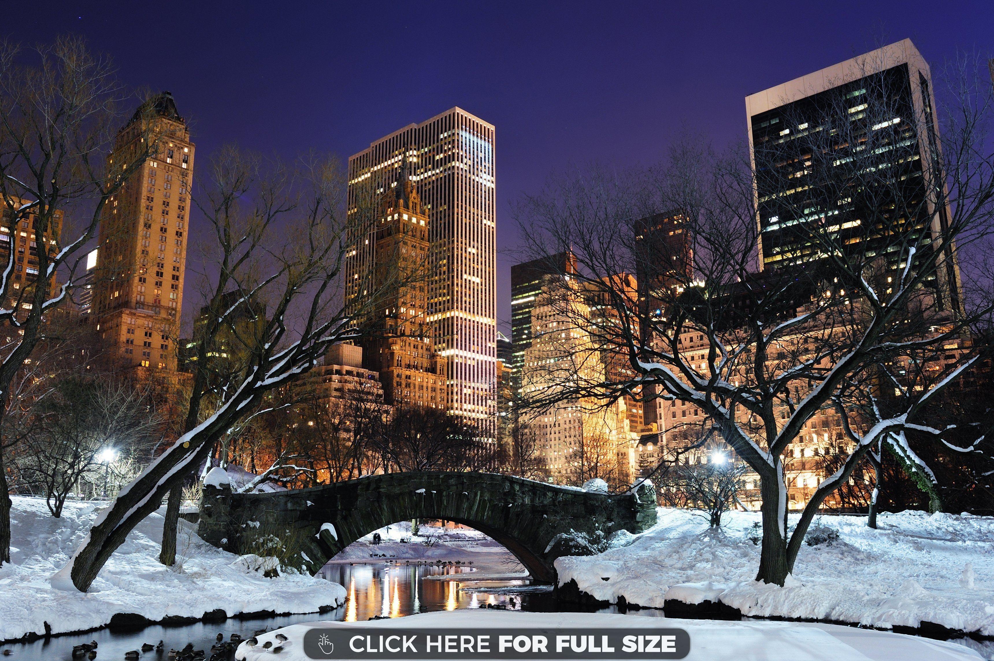3440x2289 New York Central Park in the Winter HD wallpaper