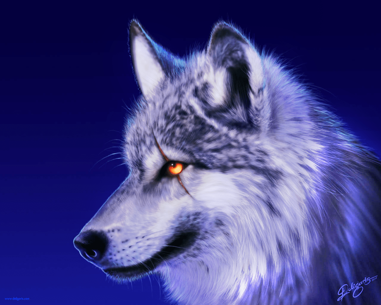 wolf spirit animal wallpaper