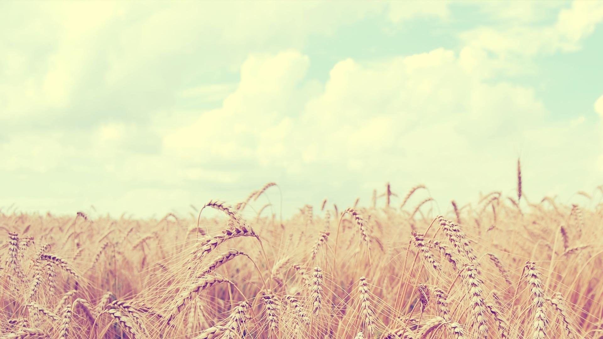 1920x1080 Cute Background for Laptops