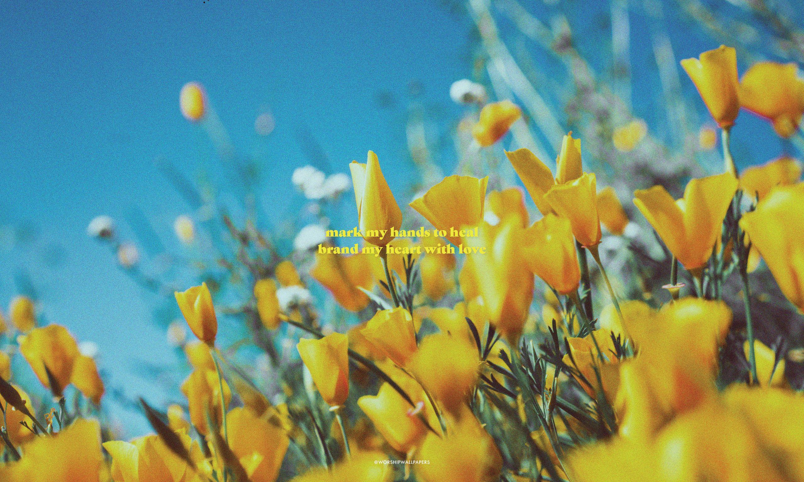 2560x1536 Mark My Hands // Lindy Conant and The Circuit Riders. WORSHIP