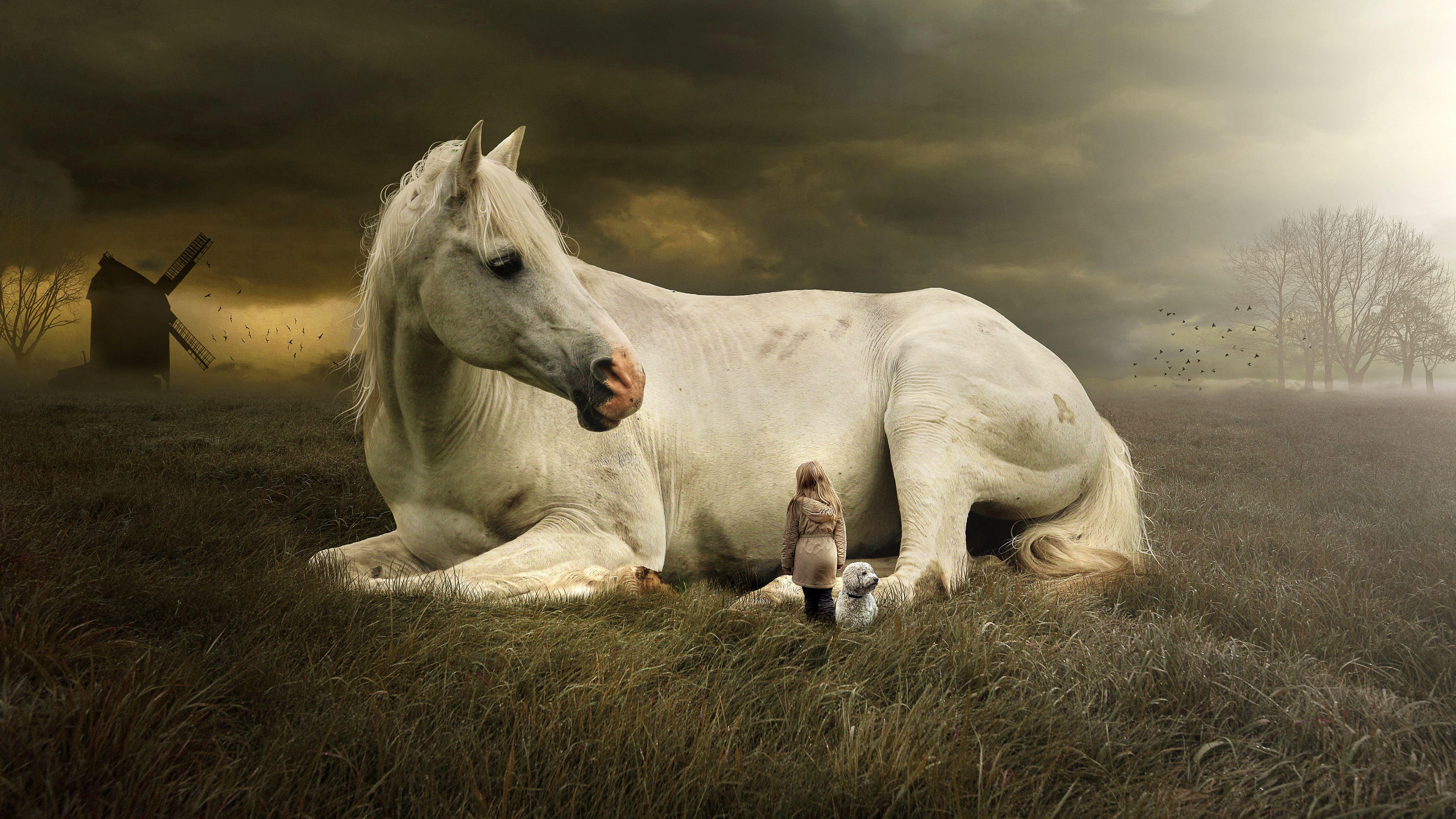 5120x2880 Horse Fantasy 5k Wallpaper Wallpaper Horse