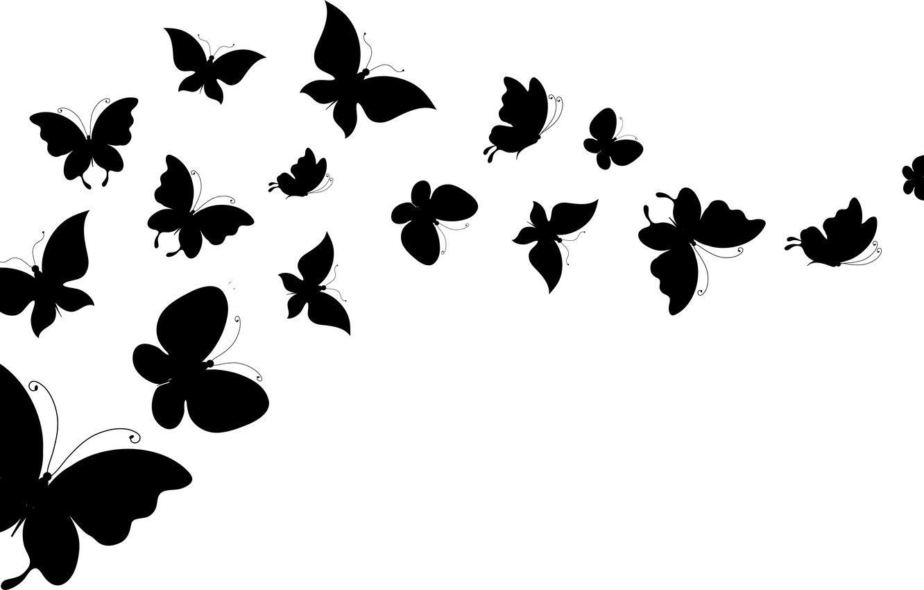 Hình nền ảnh 1332x850 Màu trắng, Con bướm, Lý lịch, Đôi cánh - Bướm bay Clipart đen và trắng - Tải xuống hình nền & nền HD