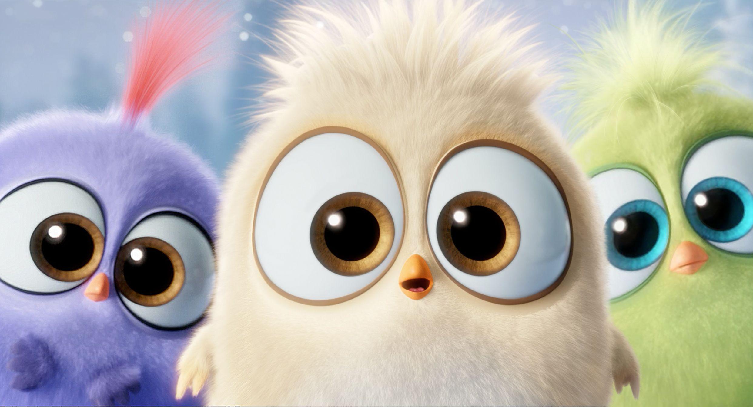 Hatchlings Wallpapers - Top Free Hatchlings Backgrounds - WallpaperAccess