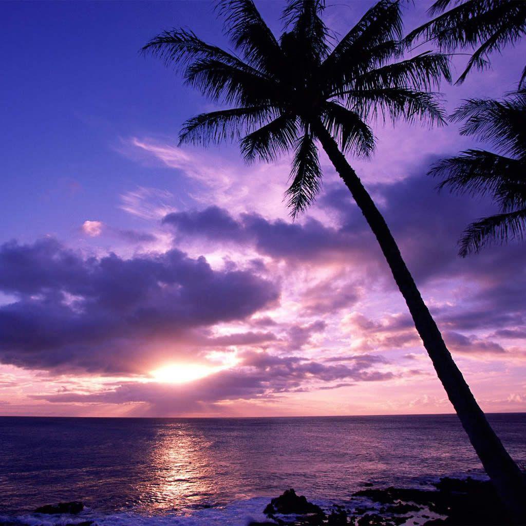 1024x1024 Wallpaper: iPad Sunset Wallpaper for windows Desktop Background,. iPad Sunset Picture, Photo