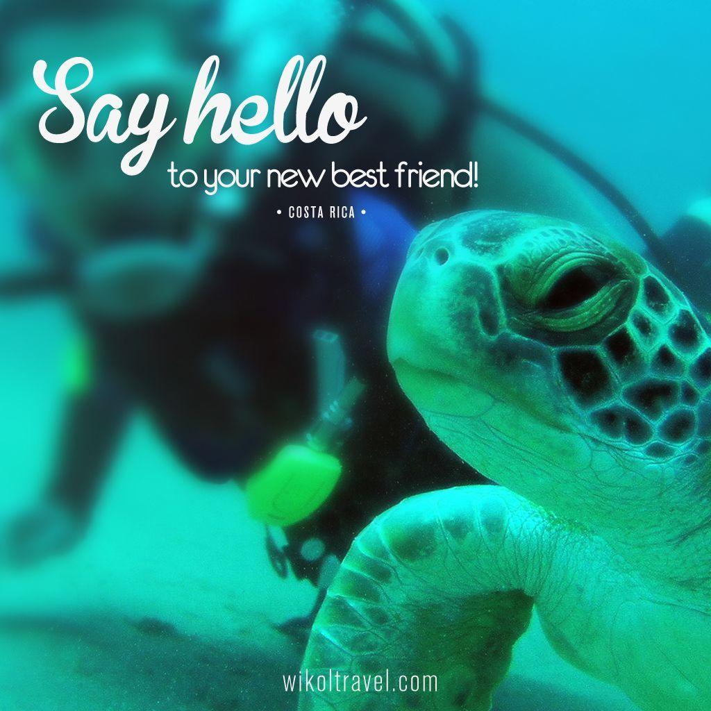1024x1024 iPad wallpaper Say hello to your new best friend!. Say hello