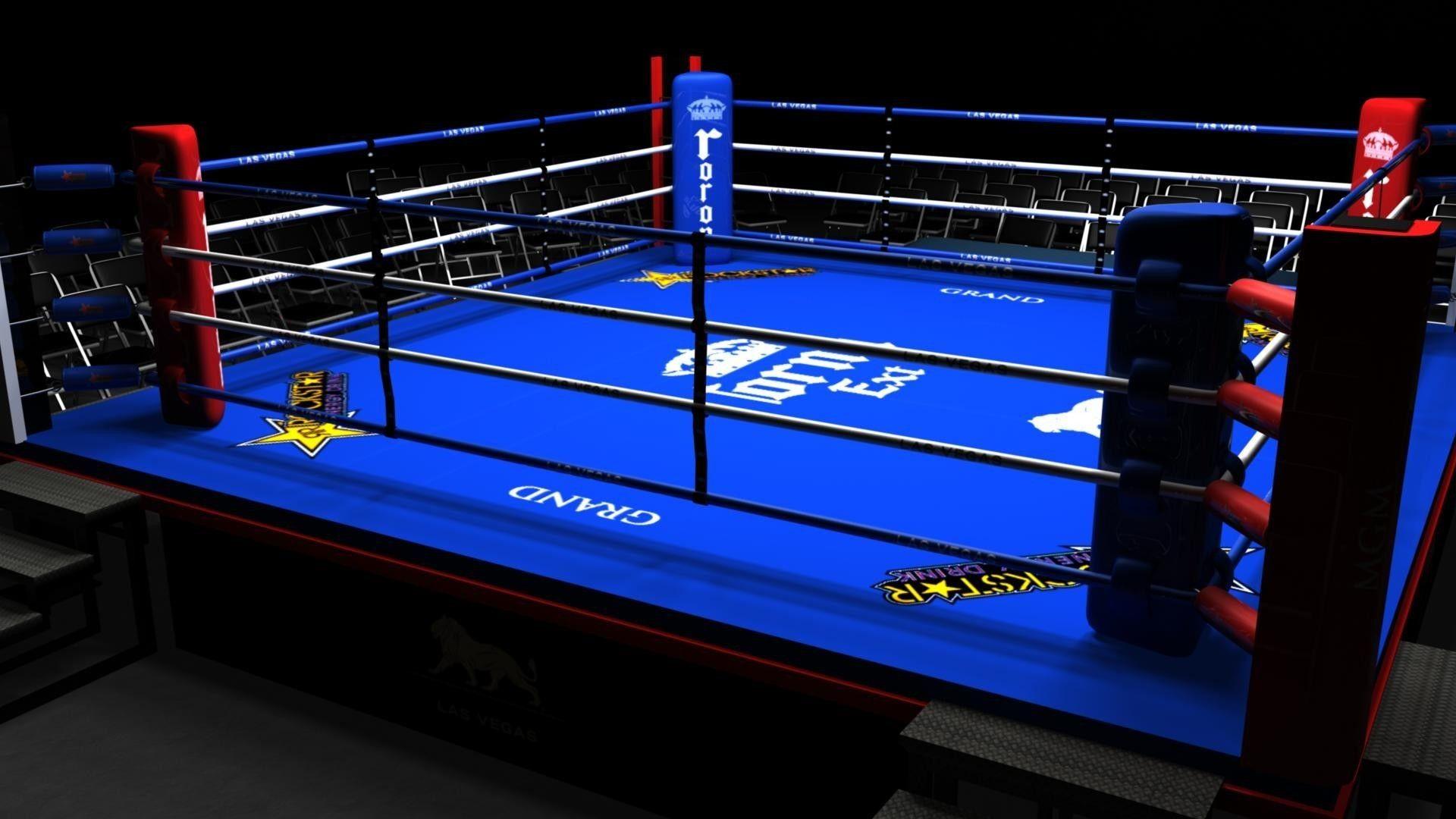 minecraft boxing ring