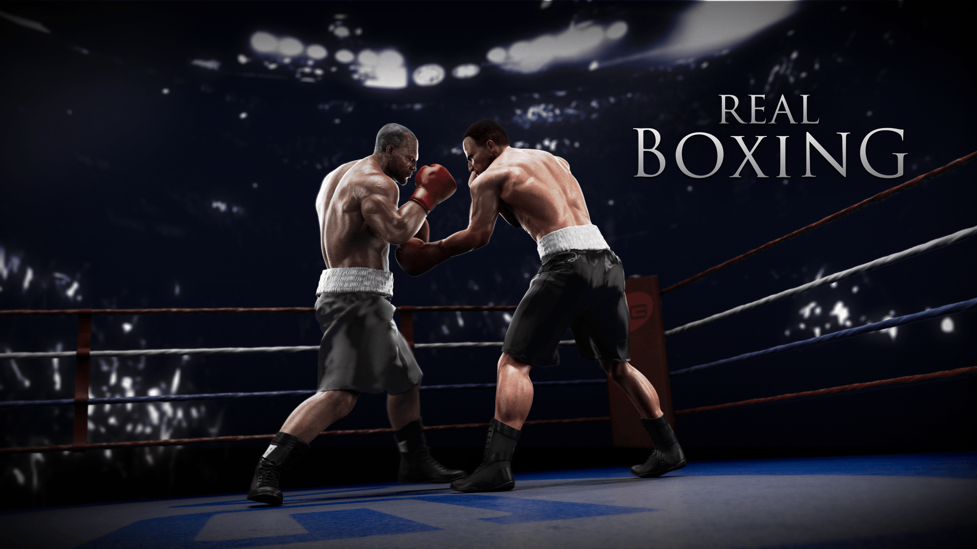 1920x1080 Boxing Wallpaper
