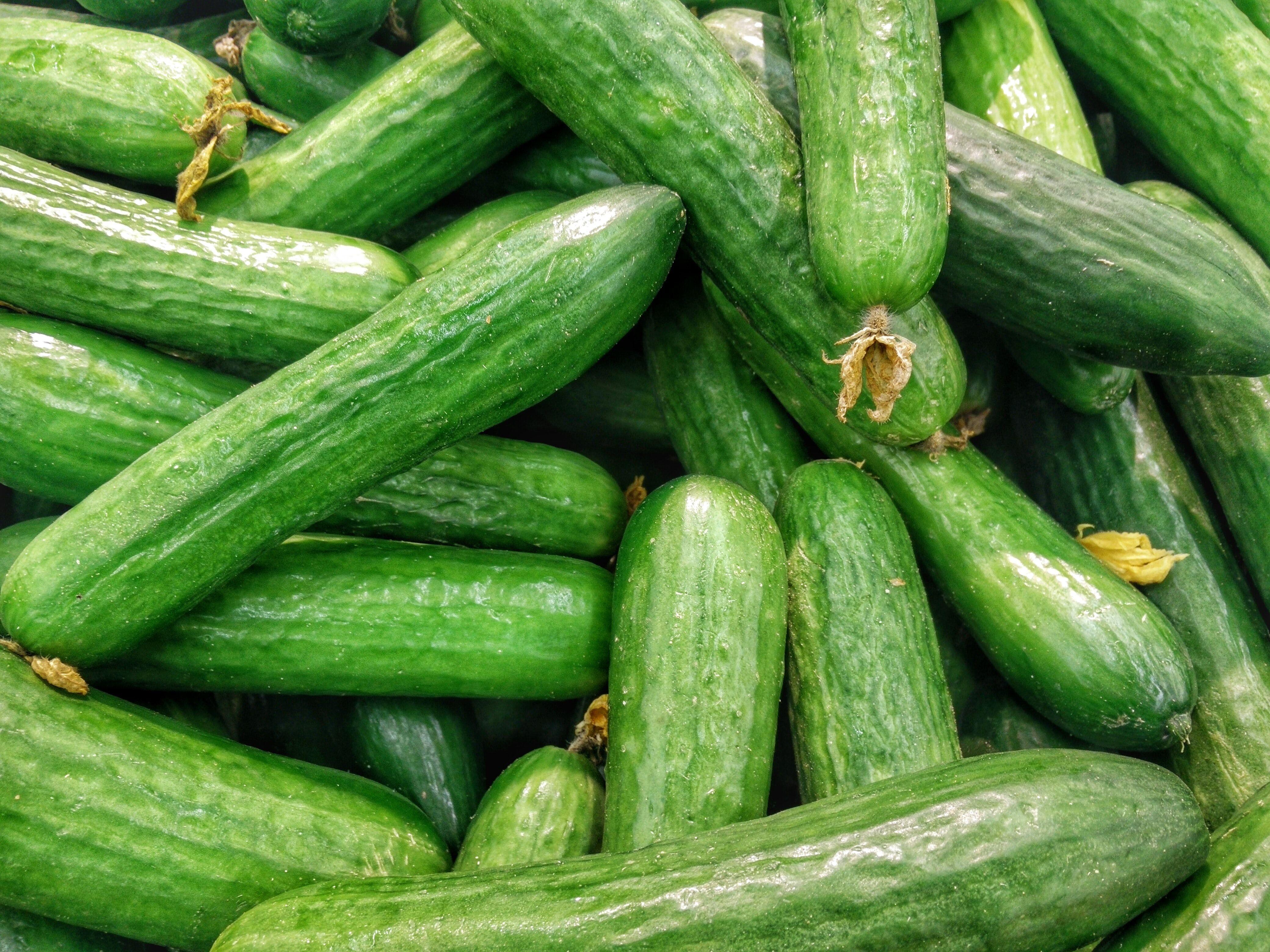 Cucumber Wallpapers - Top Free Cucumber Backgrounds - WallpaperAccess