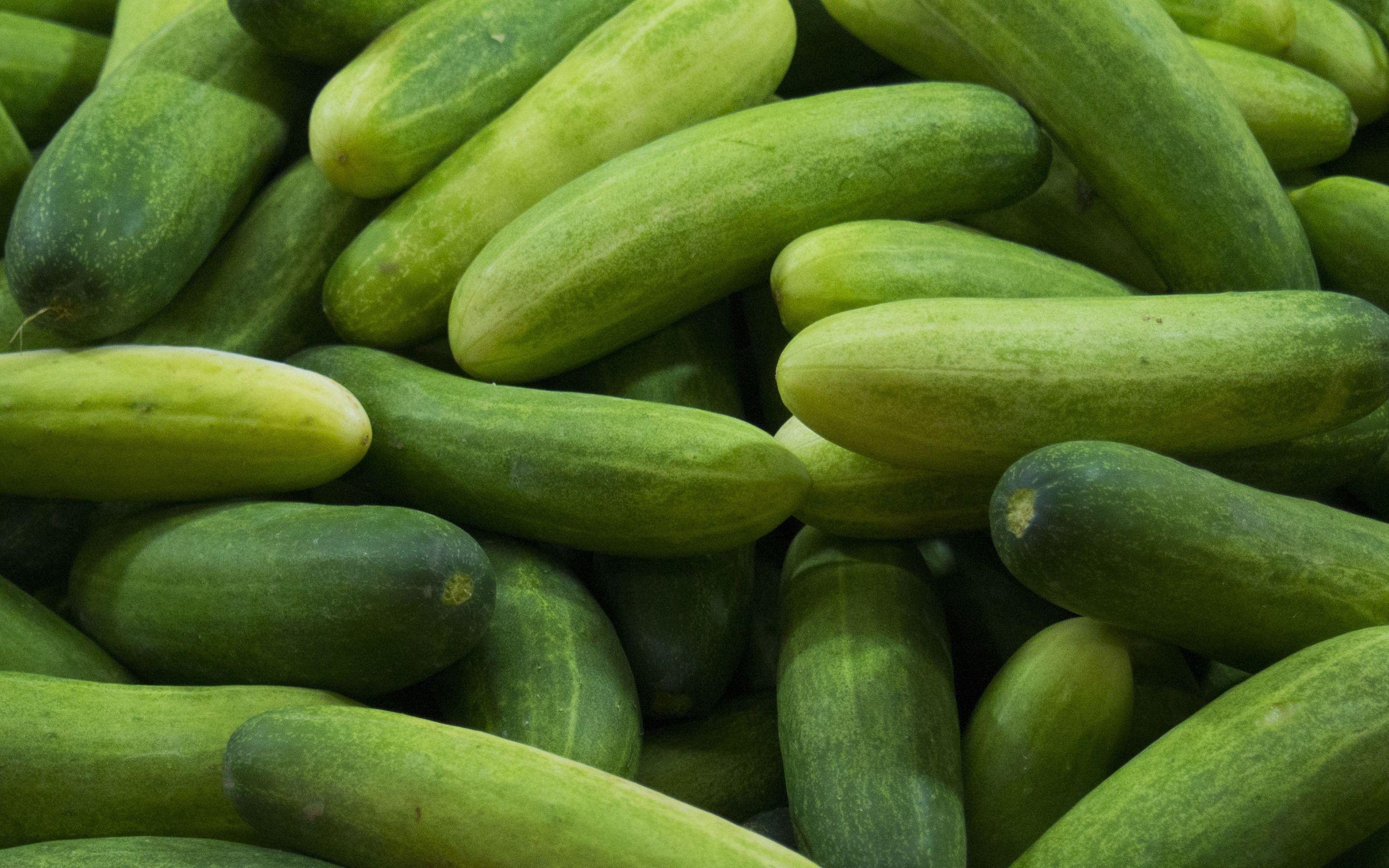 Cucumber Wallpapers - Top Free Cucumber Backgrounds - WallpaperAccess