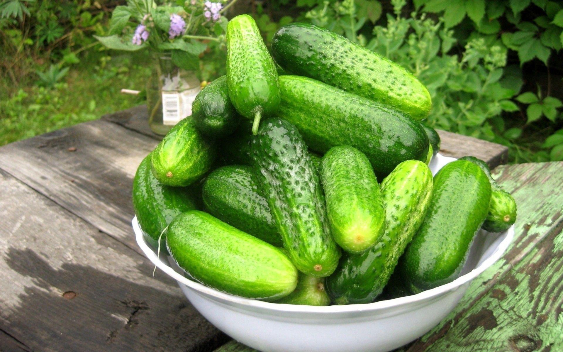 Cucumber Photos Download The BEST Free Cucumber Stock Photos  HD Images