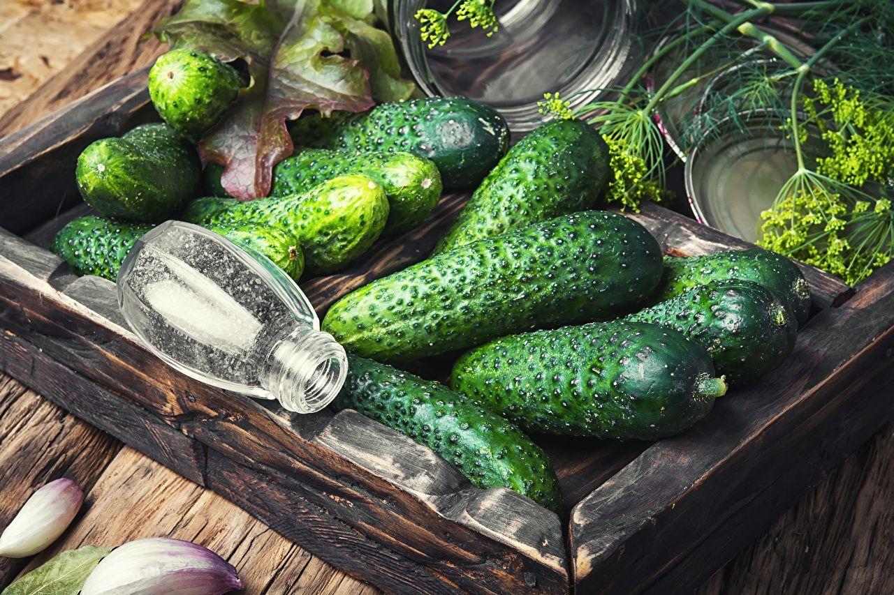 500 Cucumber Pictures  Download Free Images on Unsplash