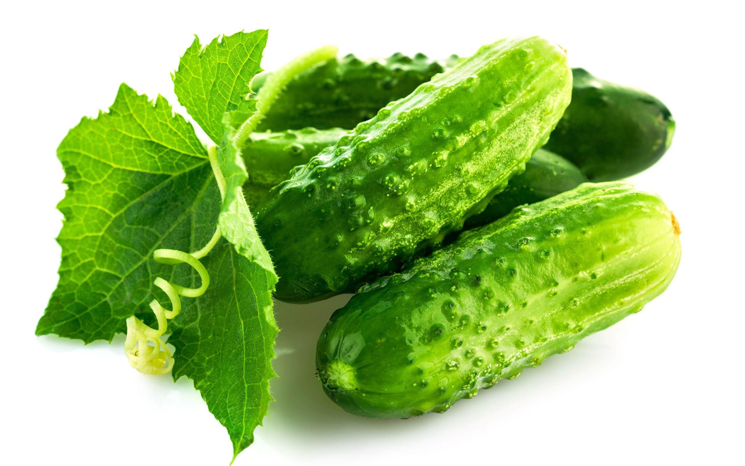 Cucumber Wallpapers - Top Free Cucumber Backgrounds - WallpaperAccess