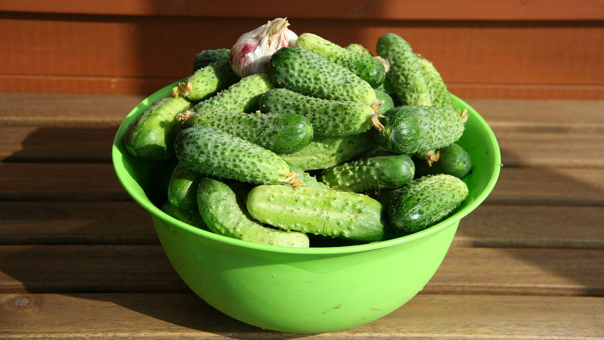 2560x1440 Desktop Wallpaper Cucumbers Food Vegetables Many 2560x1440