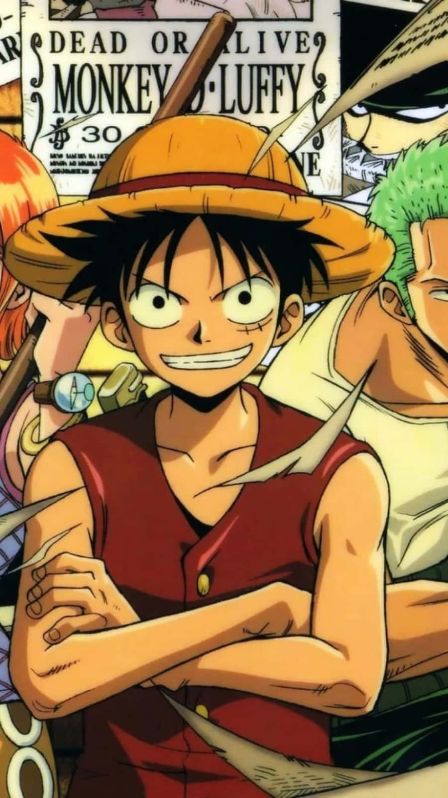 900x1600 Download Anime Monkey D Luffy Phone Wallpaper