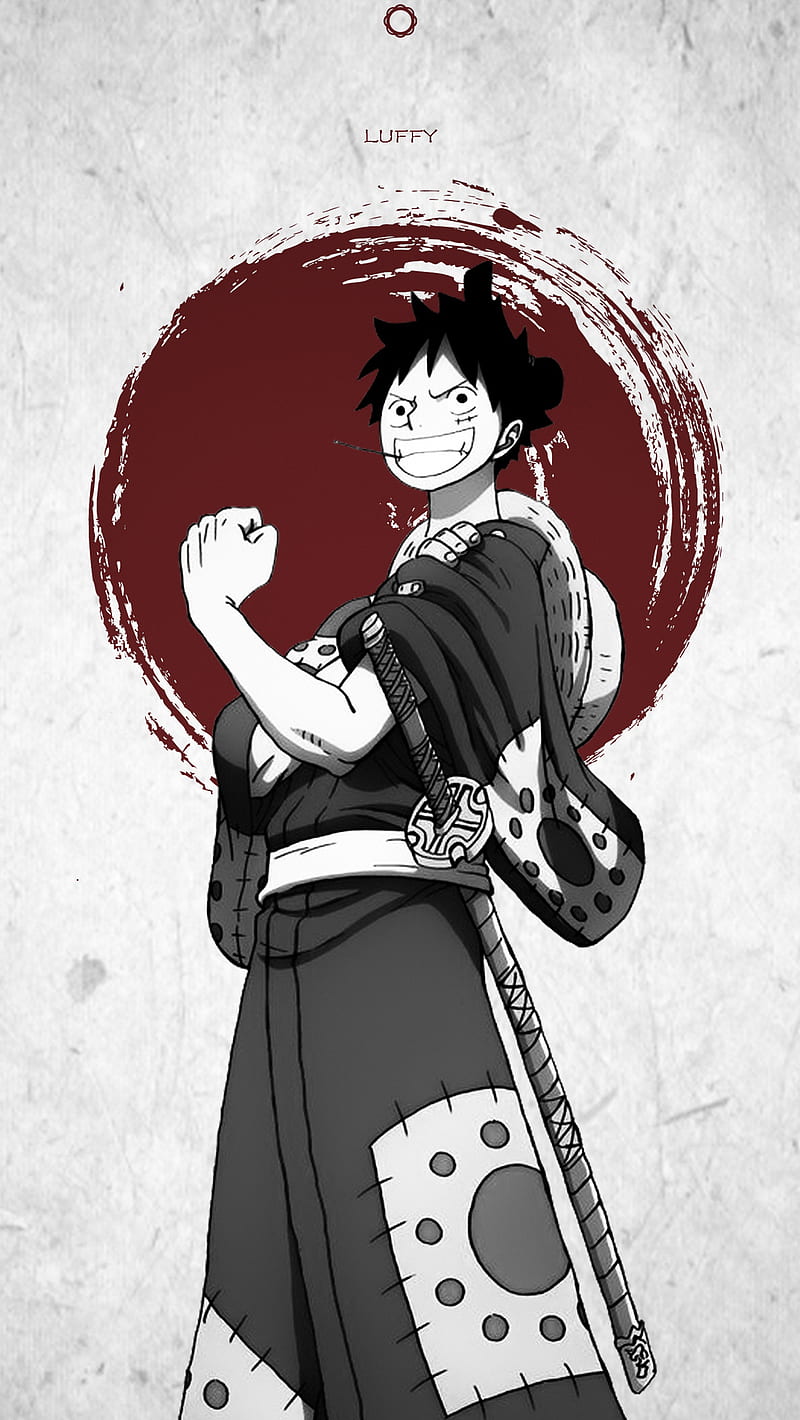 800x1420 Luffy, monkey d luffy, zoro, one piece, HD phone wallpaper