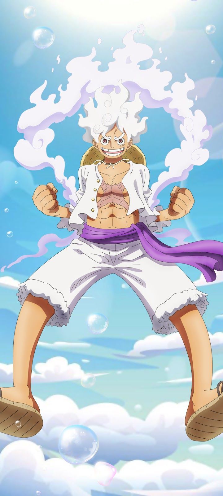 720x1600 One Piece : Monkey D. Luffy Mobile Walls