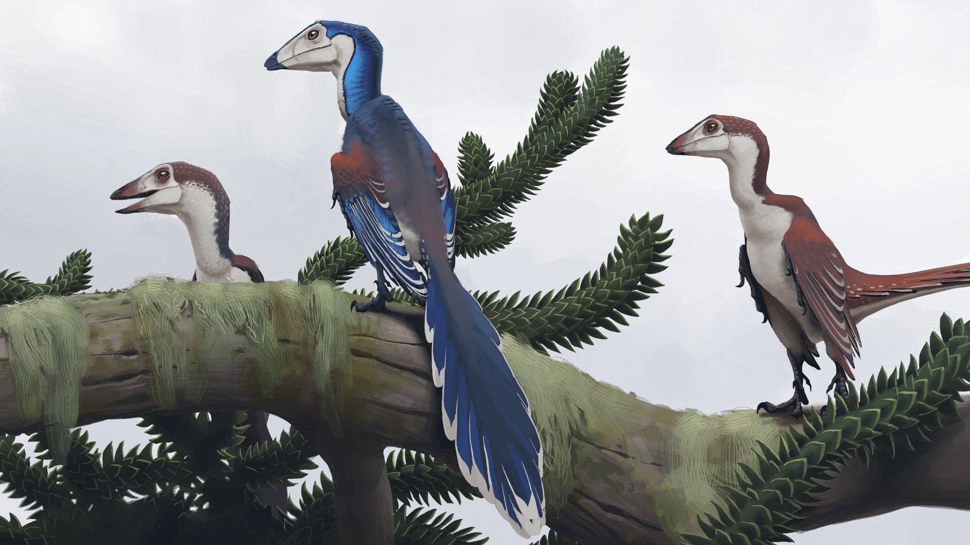 1920x1080 Dino ArtThis is my favorite Wallpaper. What species are these?