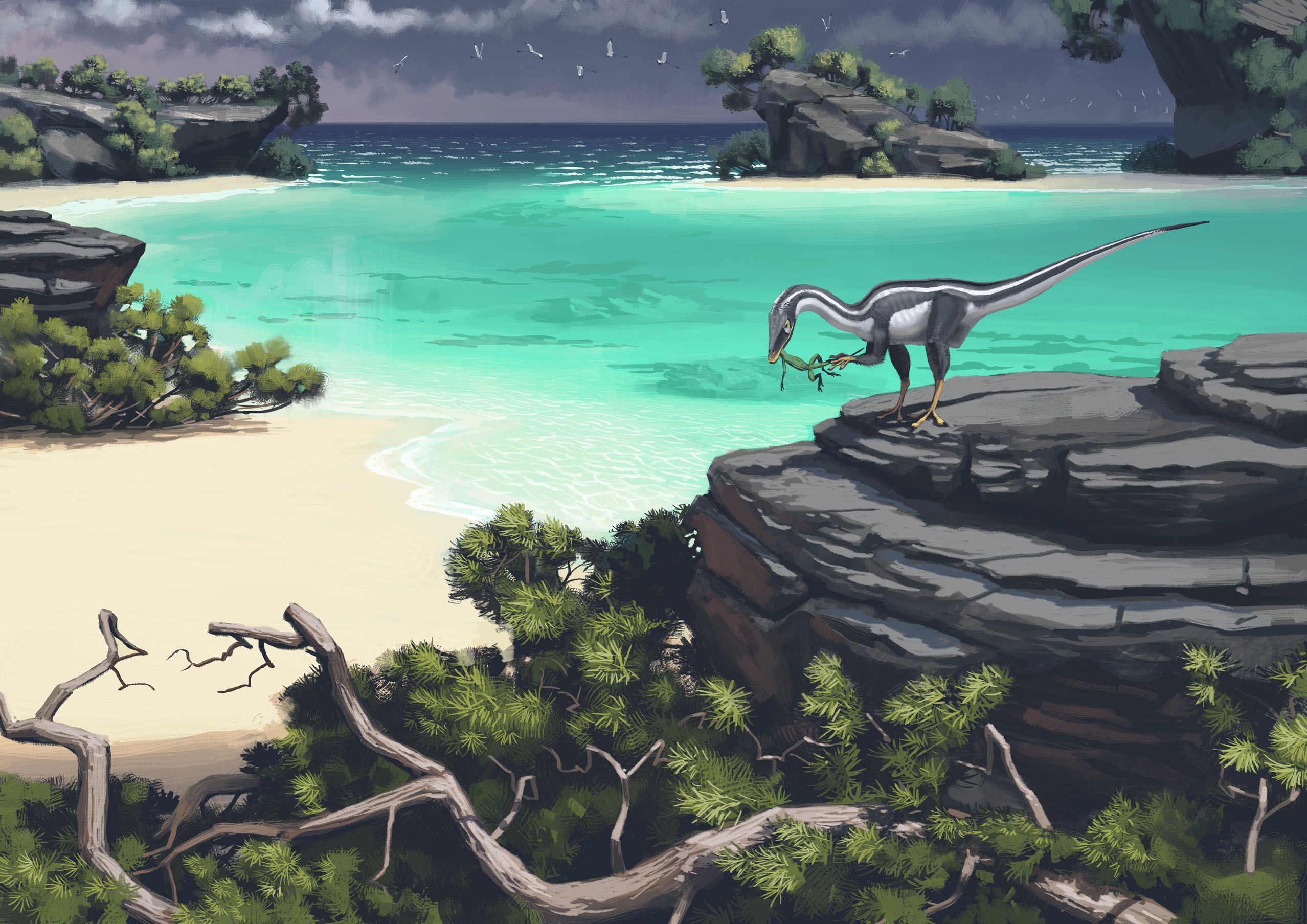 2556x1807 