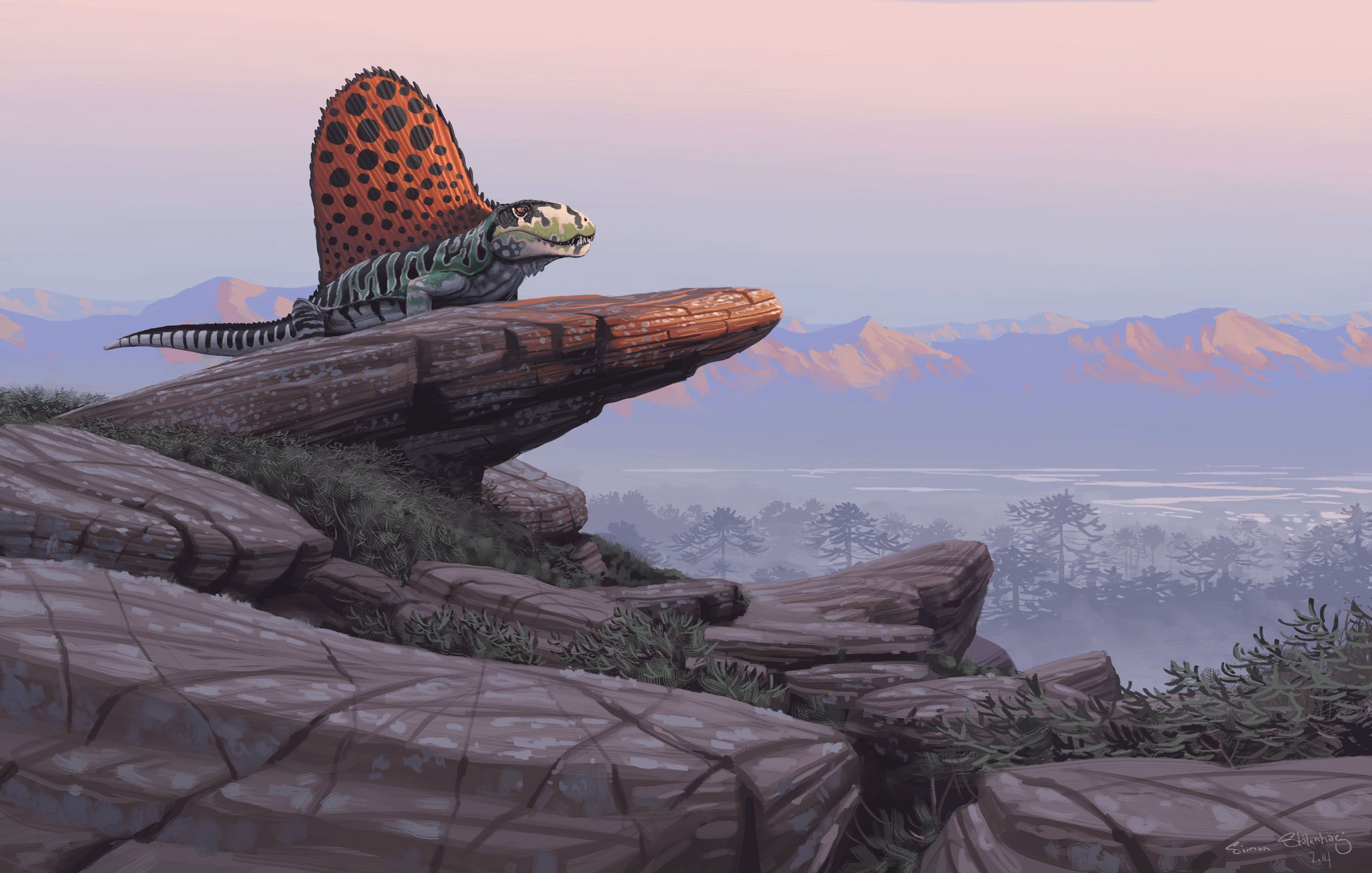 2556x1627 Paleoart Wallpaper