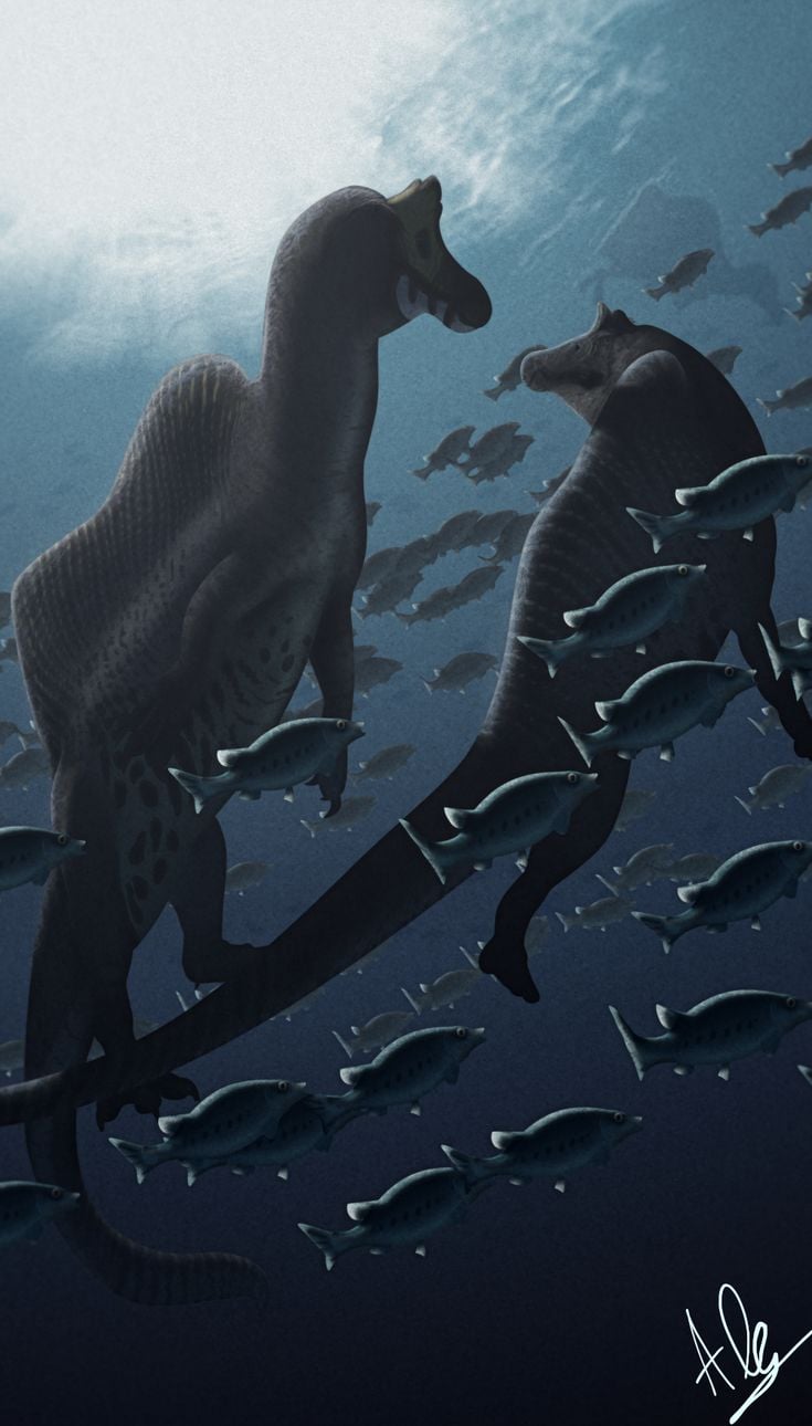 735x1290 Paleoart Wallpaper