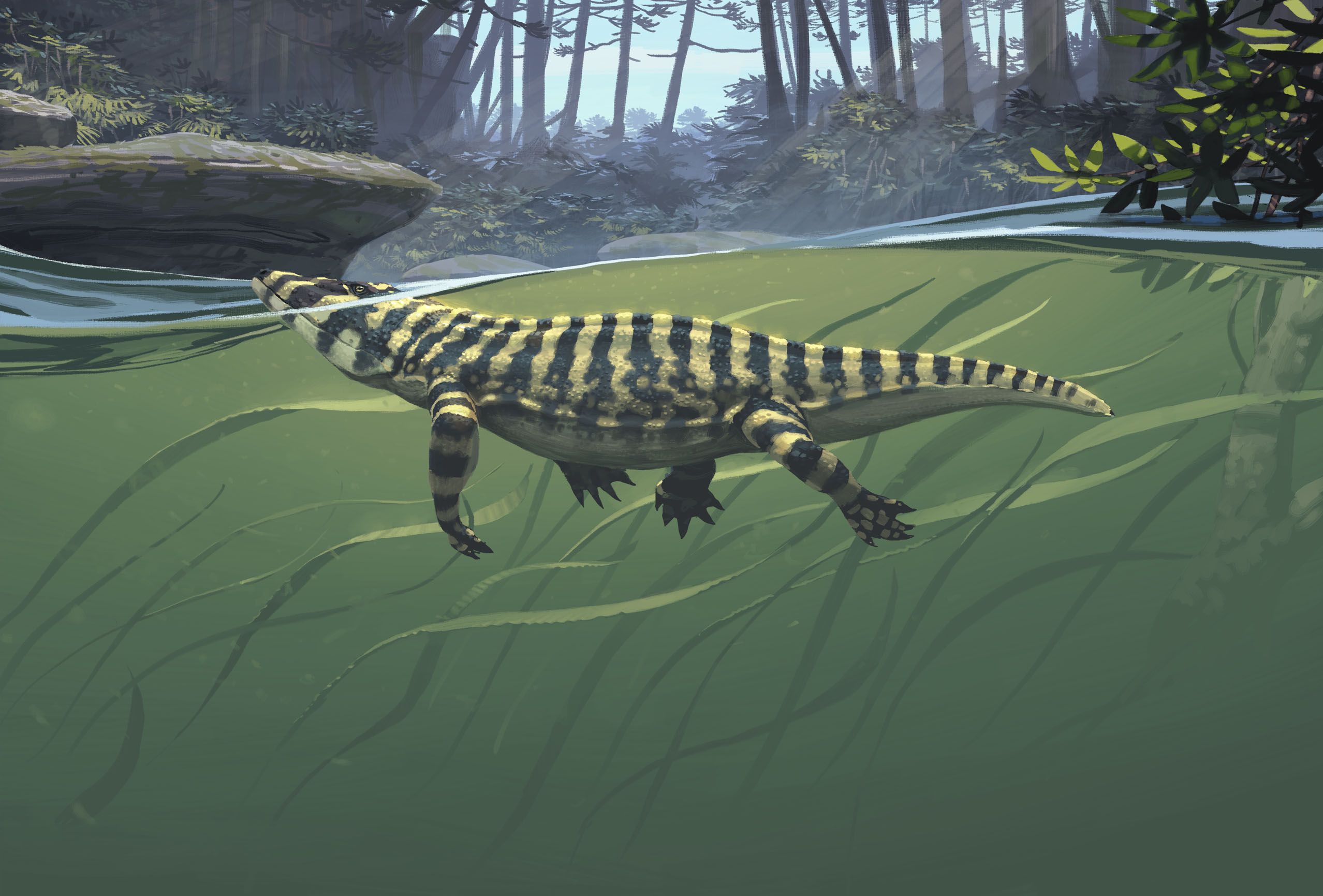 2556x1731 Paleoart Wallpaper