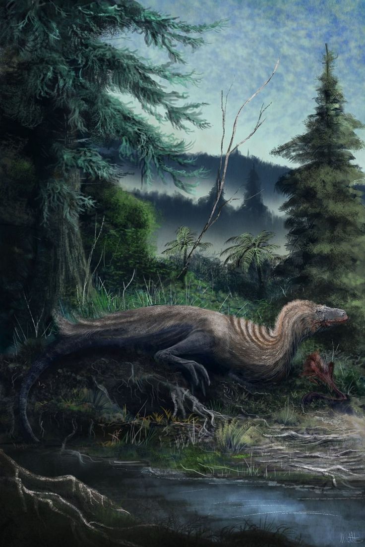 736x1104 Mark P. Witton: Palaeontological artist and author