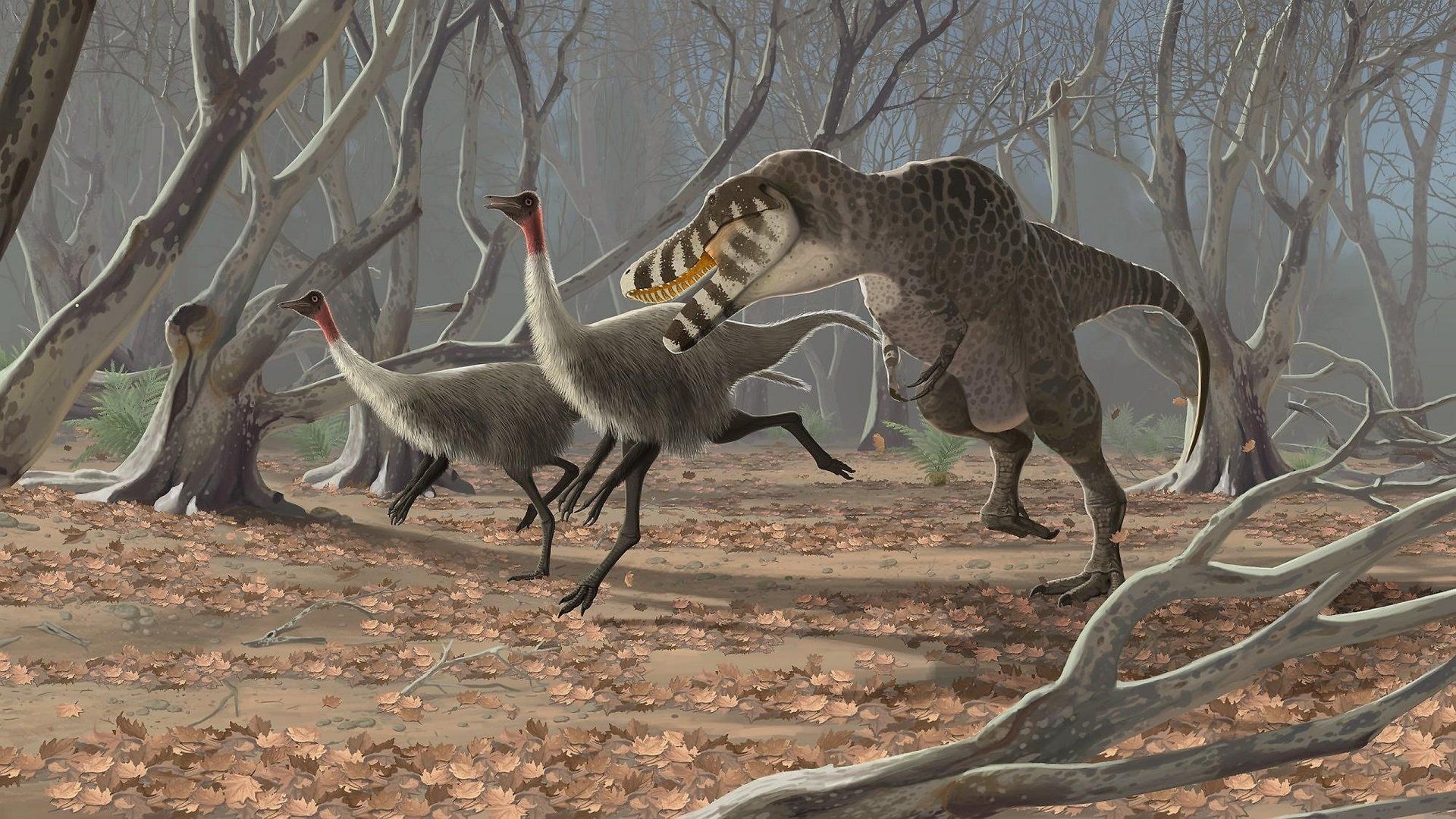 1920x1080 Majestic Dinosaur Hunt: HD Animal Wallpaper in Primal Forest