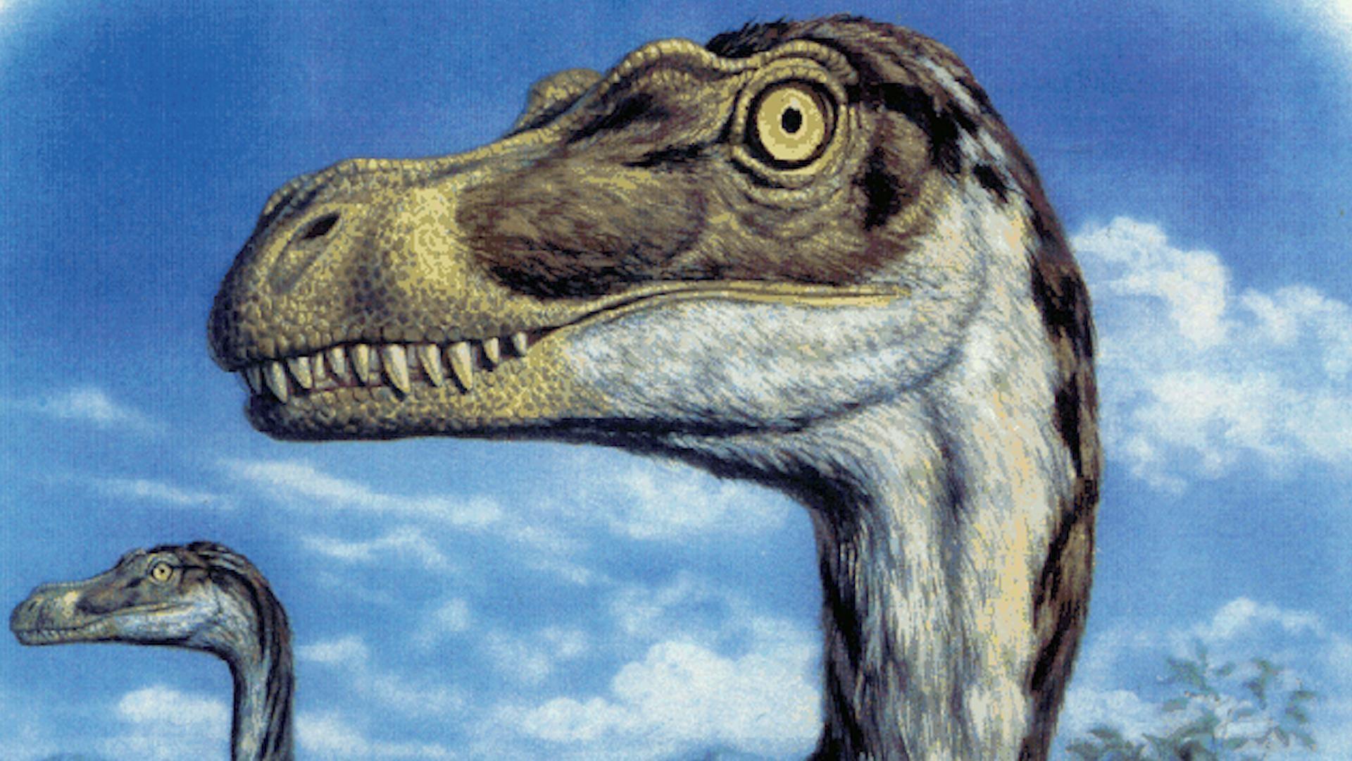 1920x1080 Paleo Artist Mark Hallett