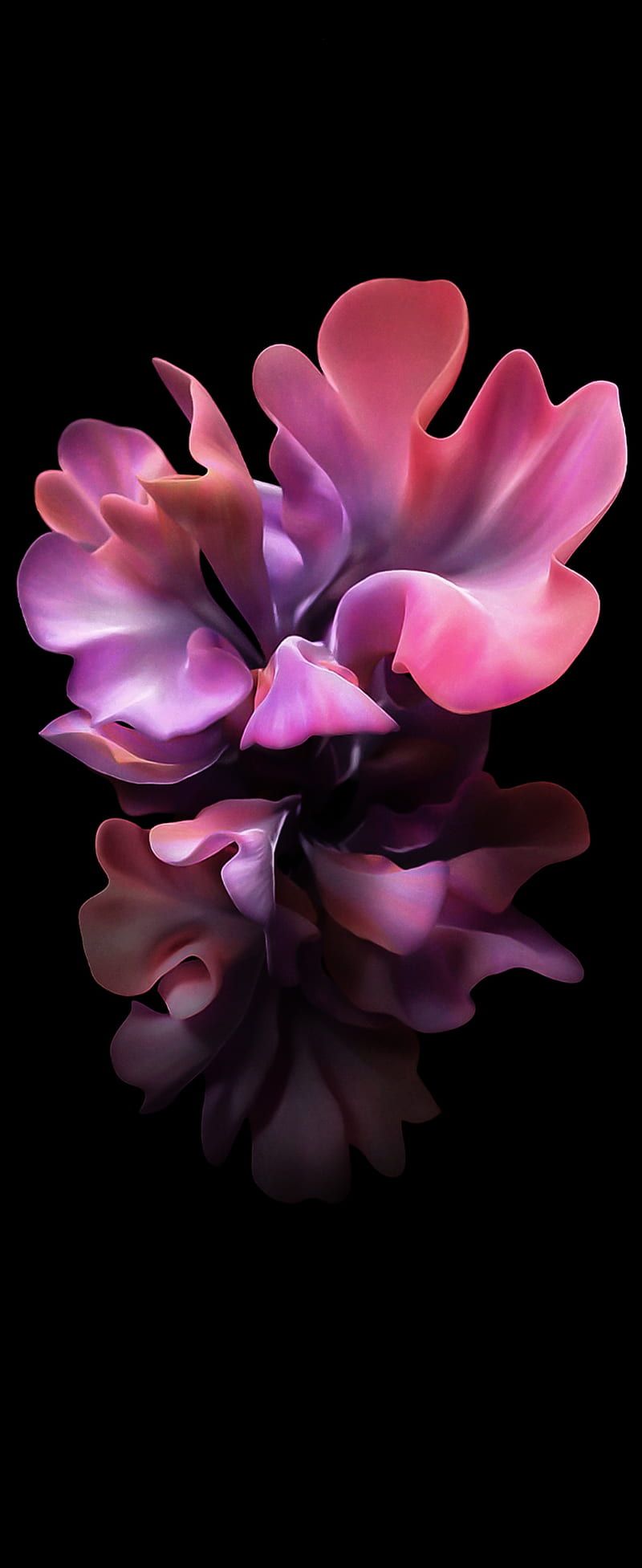 800x1953 Galaxy Z Flip S galaxy z flip, HD phone wallpaper