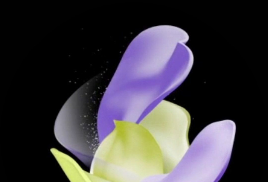 1080x736 Download Samsung Galaxy Z Fold 4 and Flip 4 wallpaper