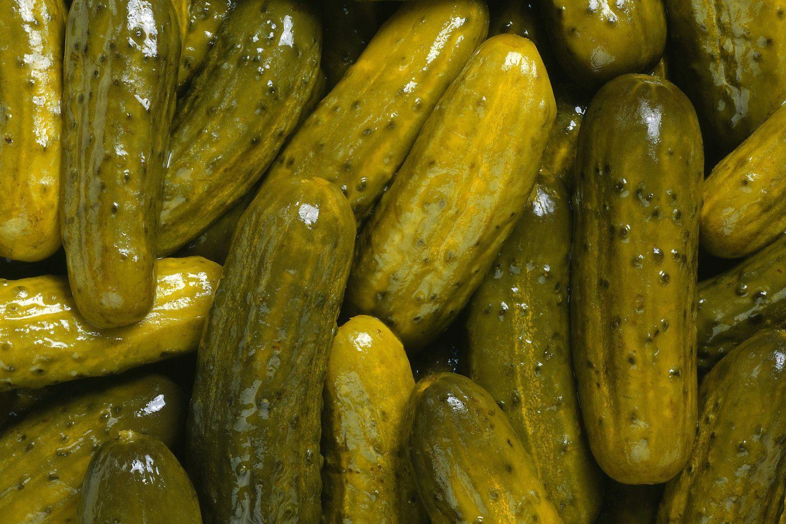 Pickle Wallpapers - Top Free Pickle Backgrounds - WallpaperAccess