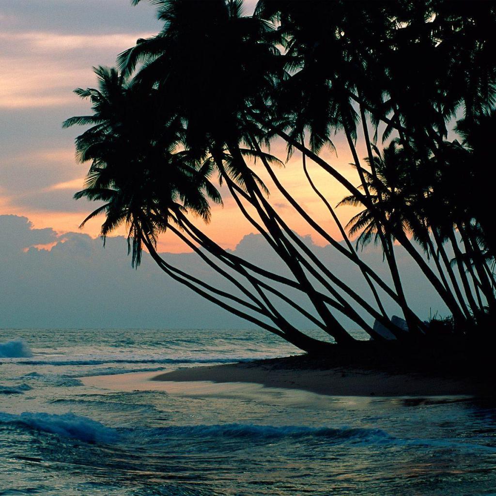 1024x1024 lenaquestaosocial: Beautiful Nature Wallpaper for ipad Wallpaper