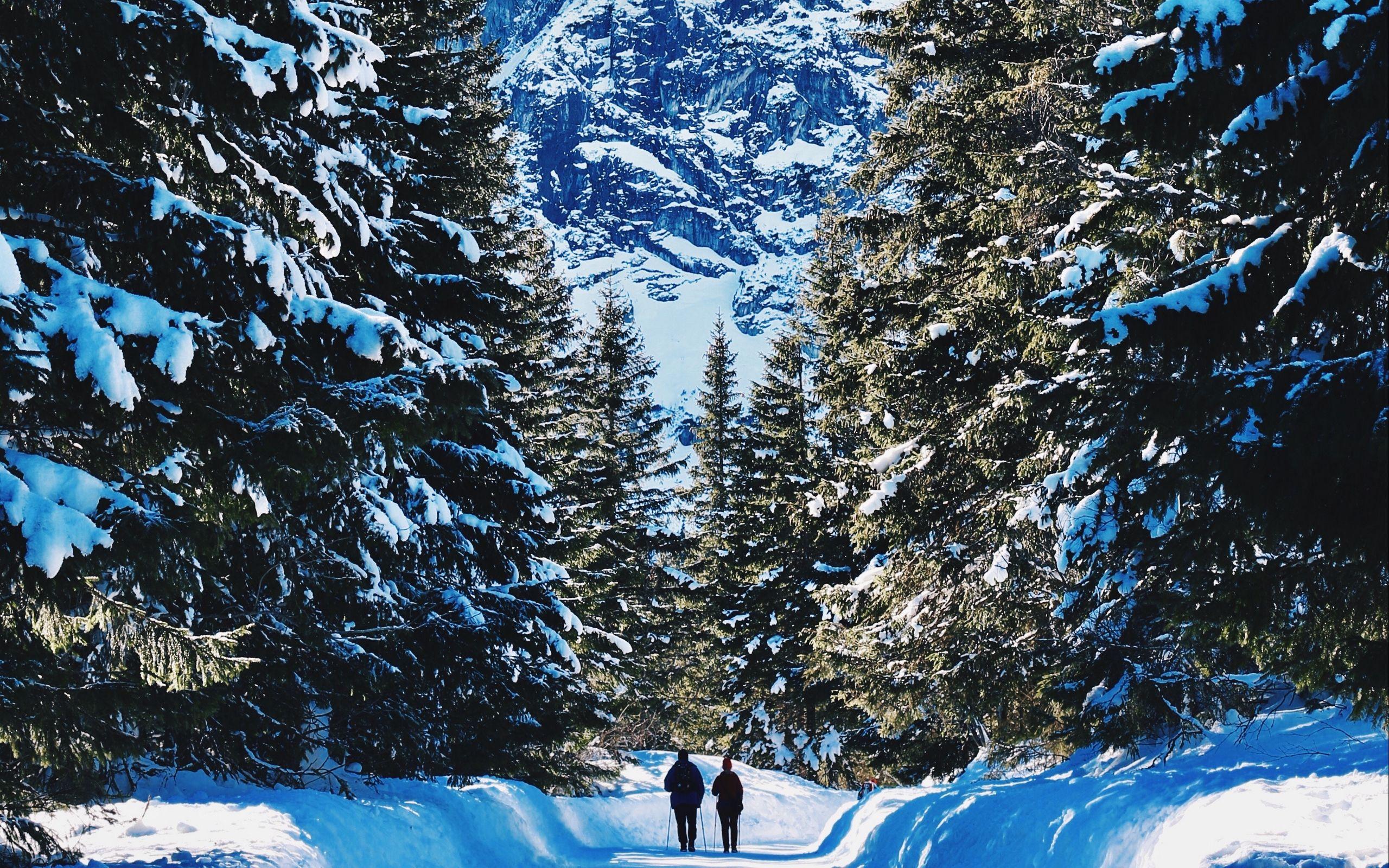 2560x1600 Download wallpaper 2560x1600 people, winter, mountains, forest