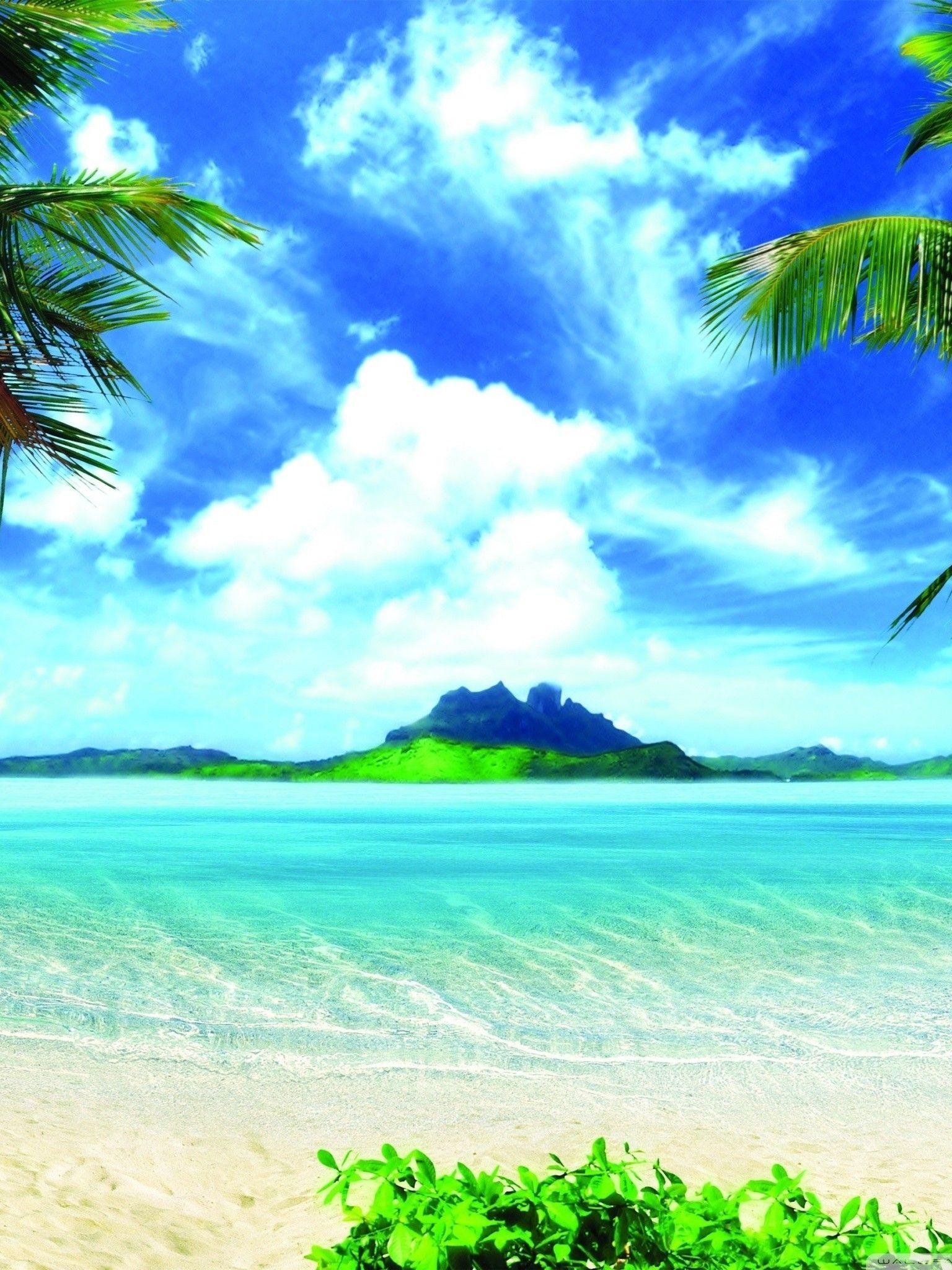 1536x2048 Free download iPad Wallpaper Summer HD Widescreen 11 HD Wallpaper