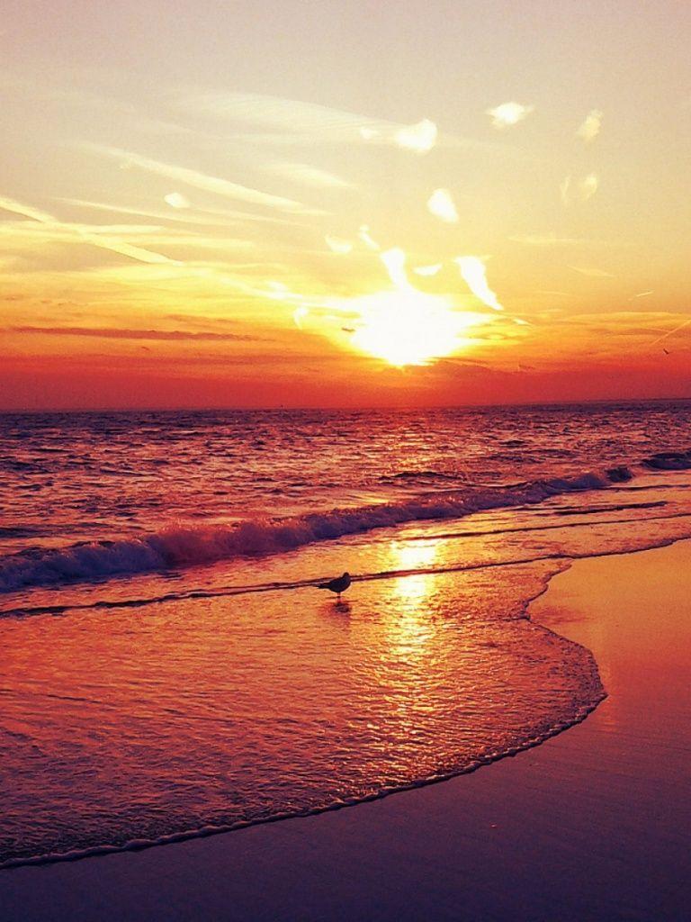 Sunset Ipad Wallpapers Top Free Sunset Ipad Backgrounds Wallpaperaccess