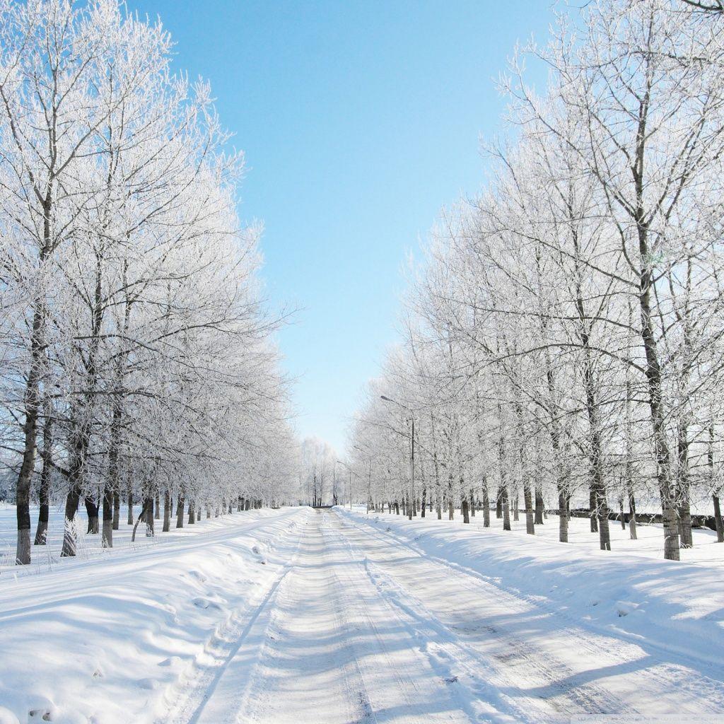 1024x1024 Road Covered With Snow ❤ 4K HD Desktop Wallpaper for 4K Ultra HD