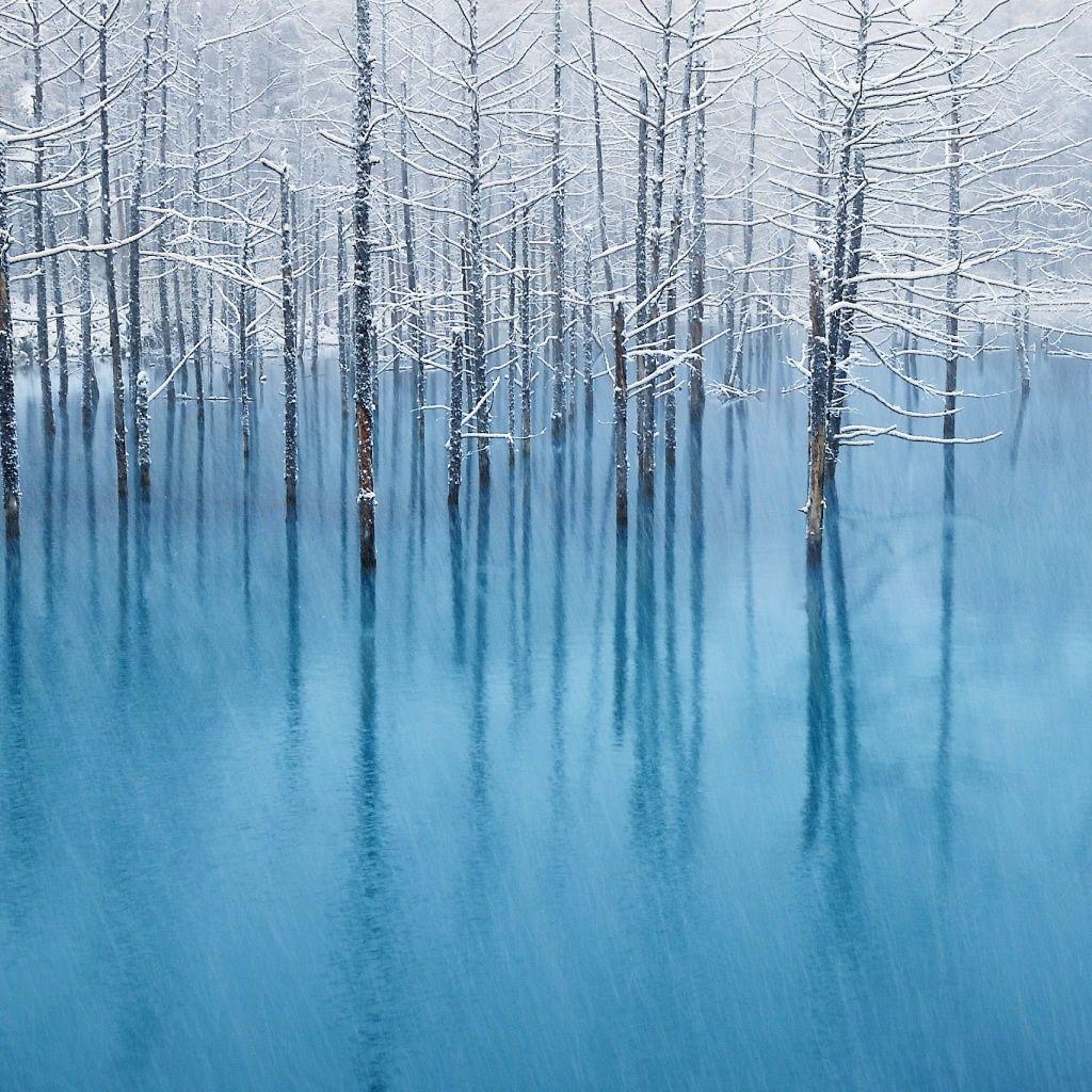 1024x1024 Snow Pond iPad Wallpaper Free Download