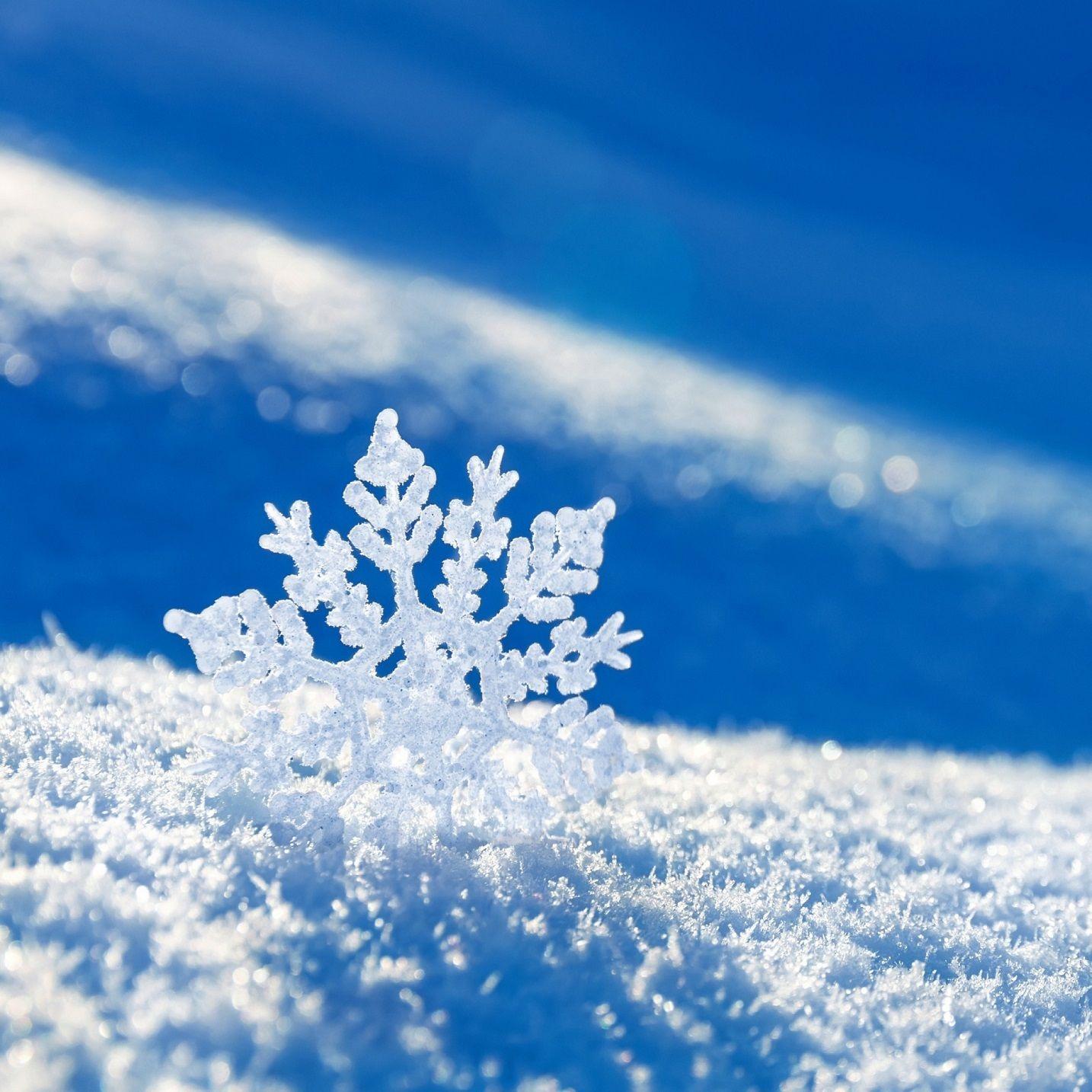 1434x1434 Free download ipad air wallpaper snow wallpaper details 1434x1434
